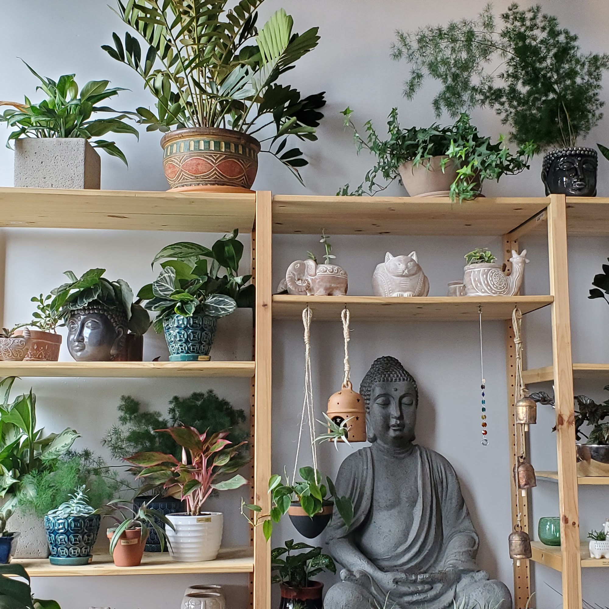 One Urban Tribe Lowell