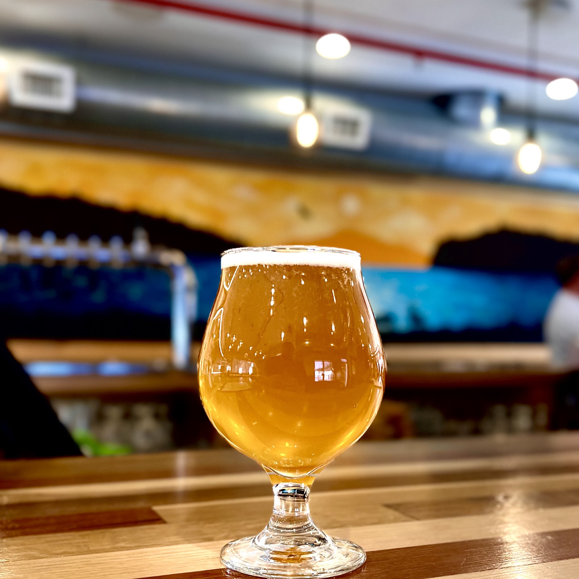 Vanished Valley Brewing Ludlow