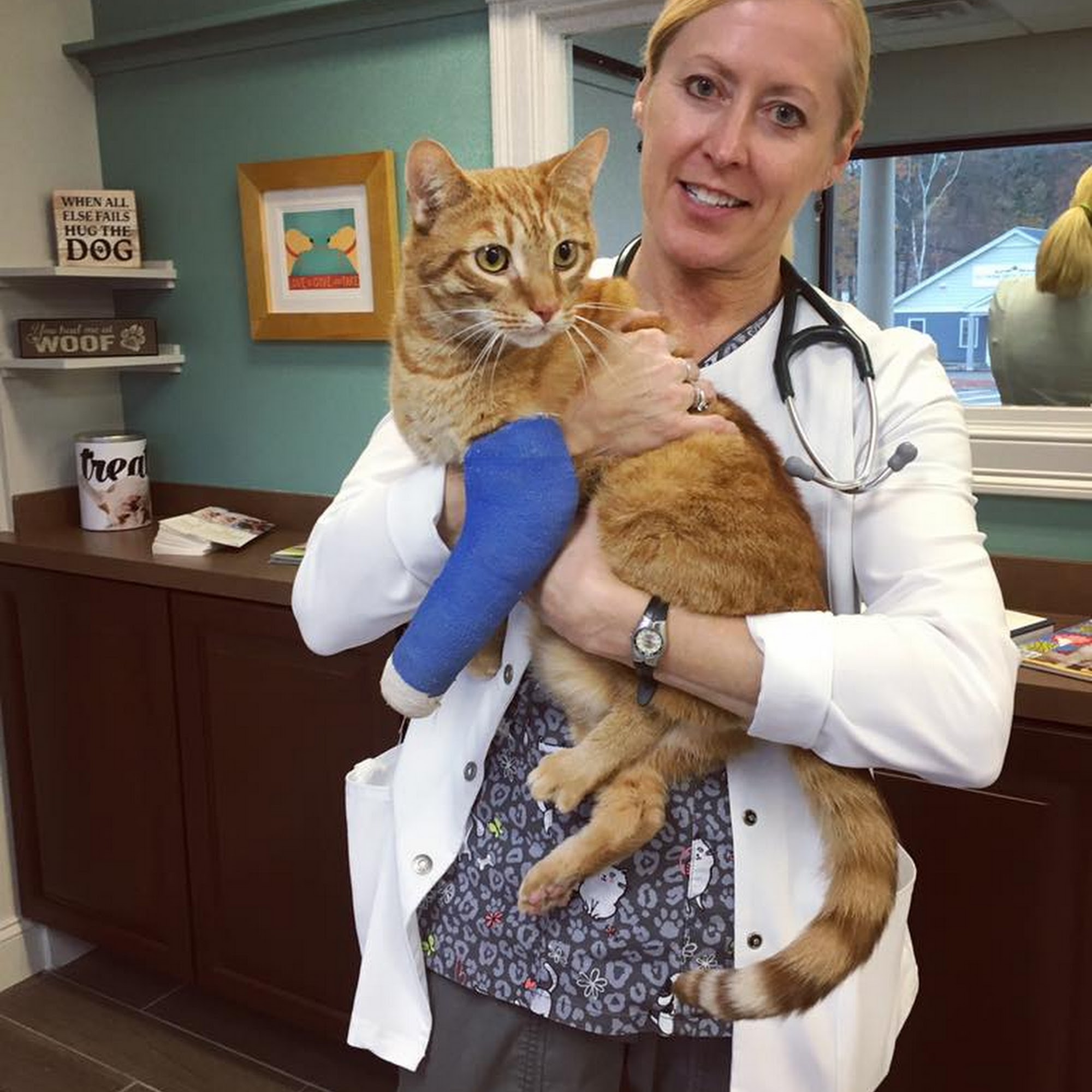 Sulin, Melissa J DVM - First Choice Veterinary Care, Inc. Lunenburg