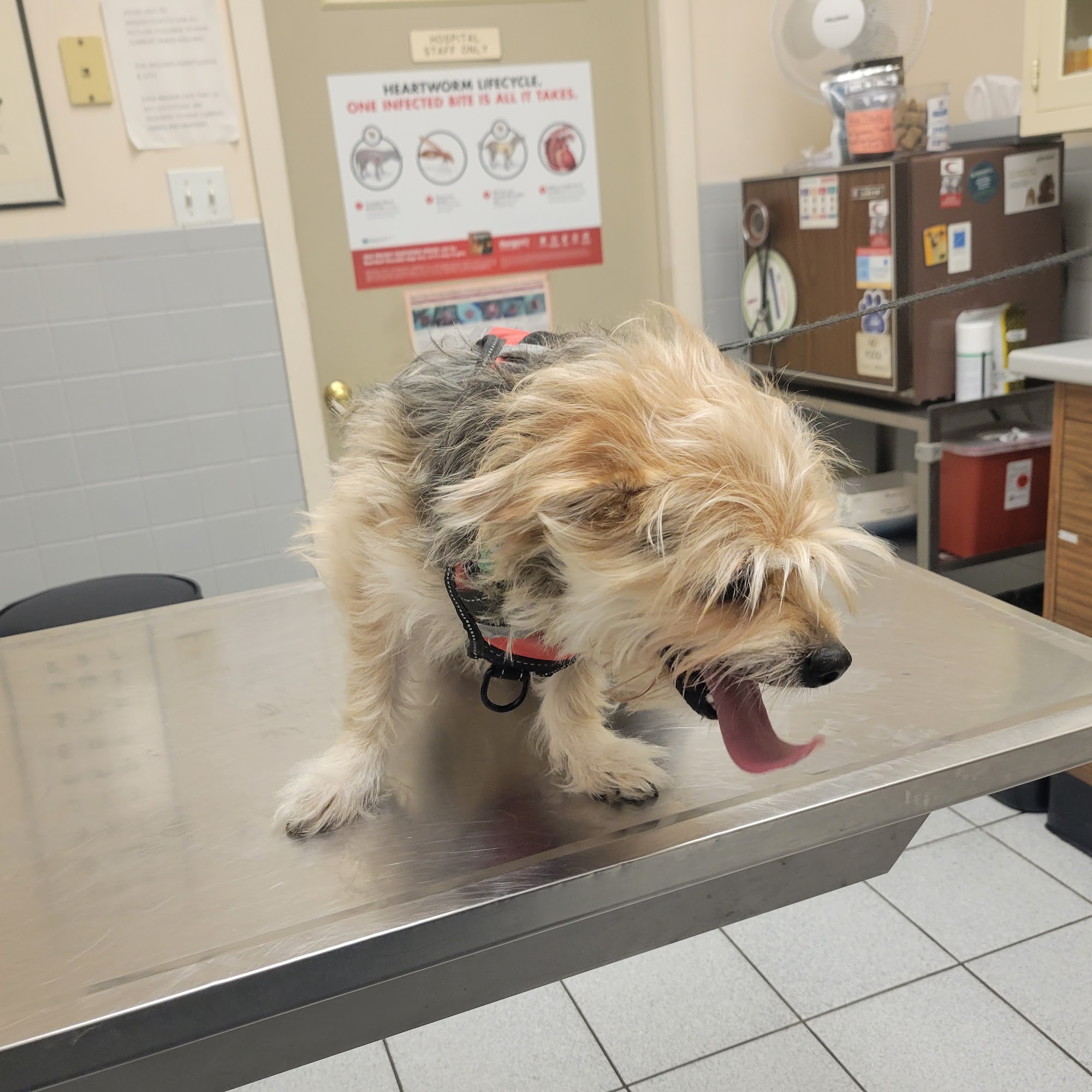 Malden Animal Hospital & Kennel Malden