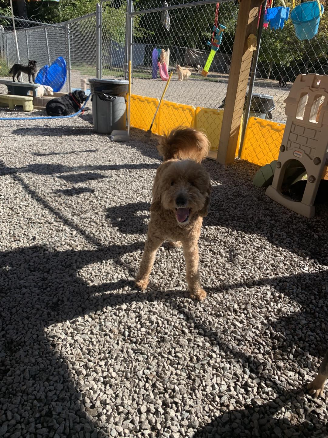 Red Dog Inn and Resort Mansfield