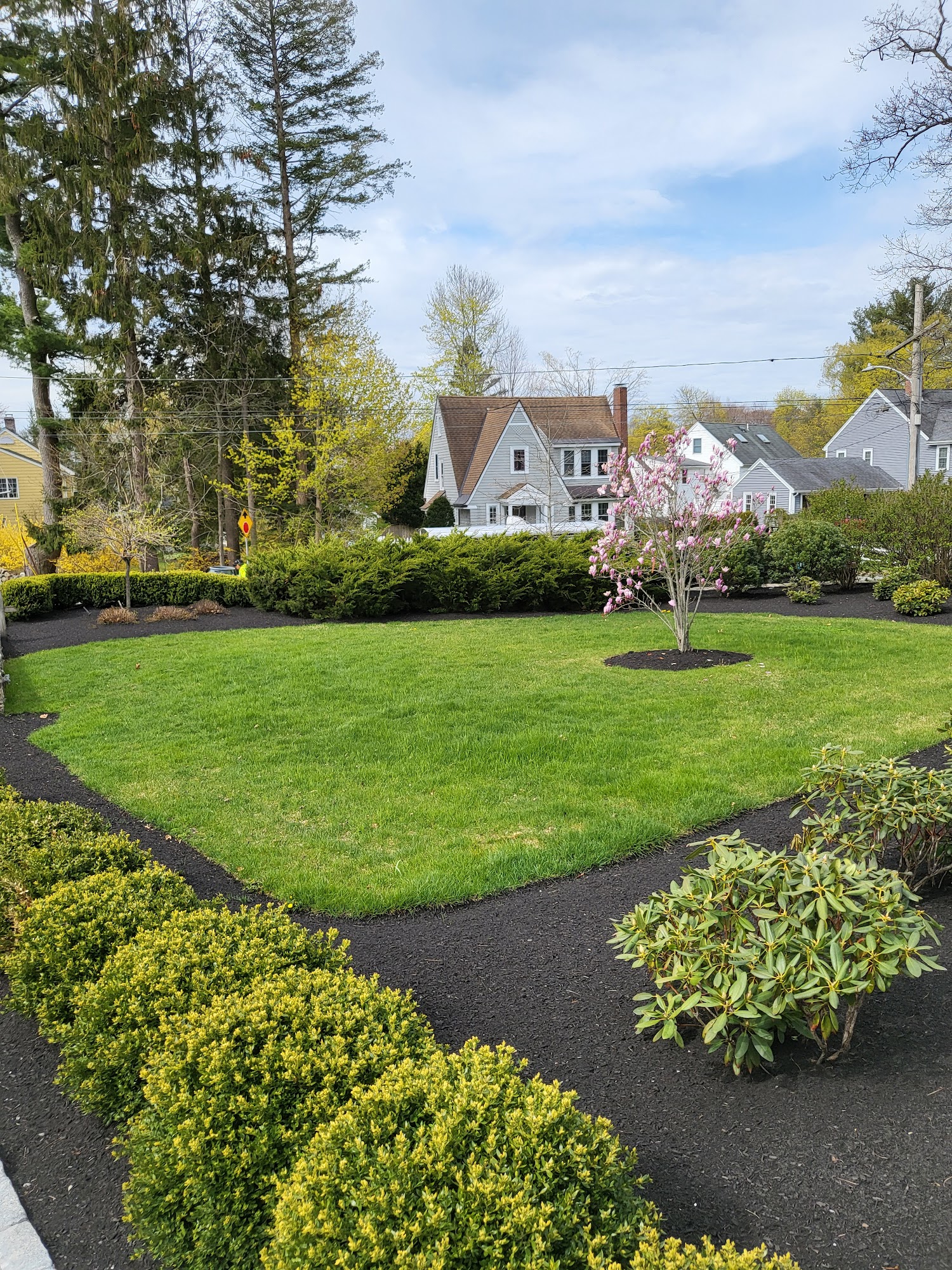 Musso Landscaping