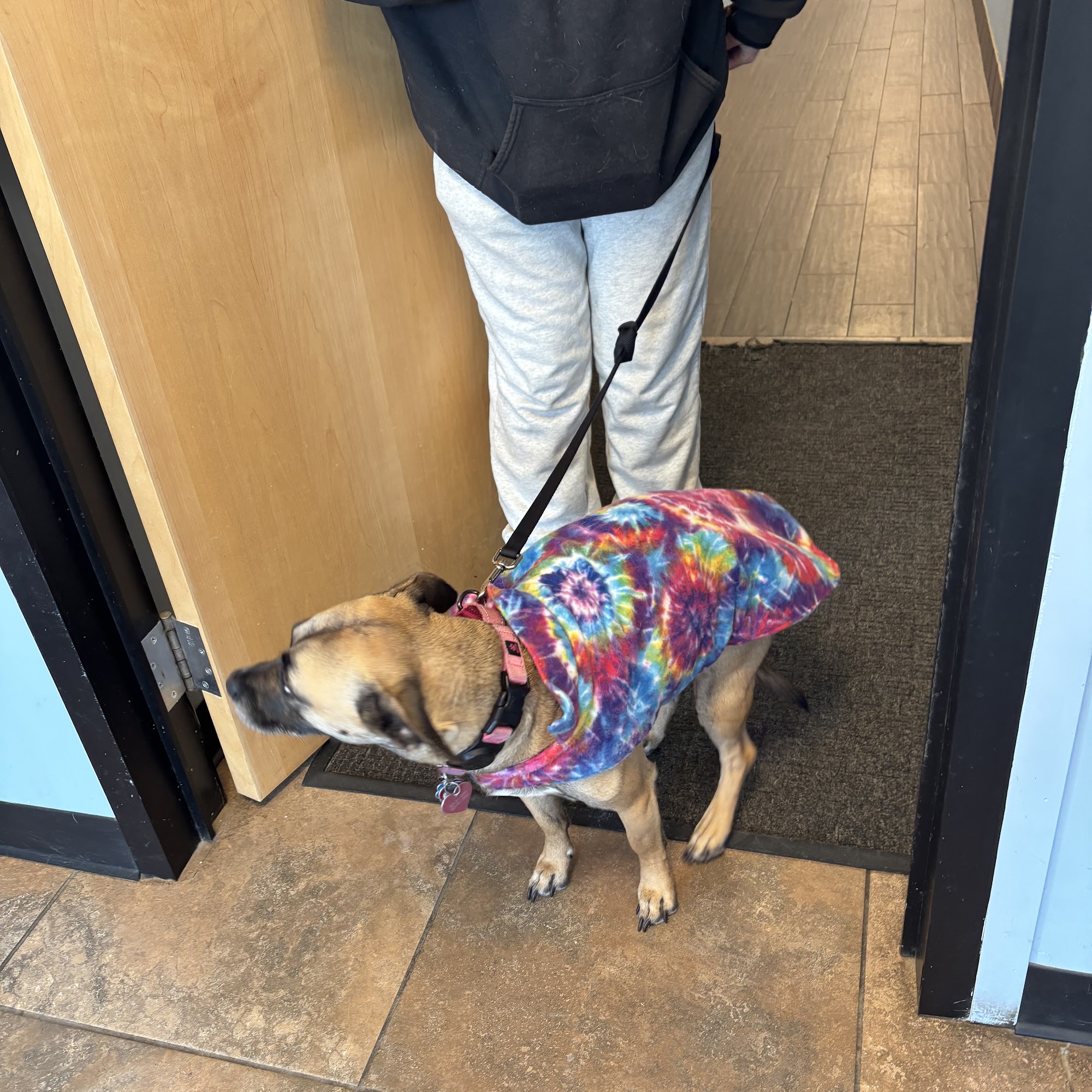 Marlboro Animal Hospital Marlborough