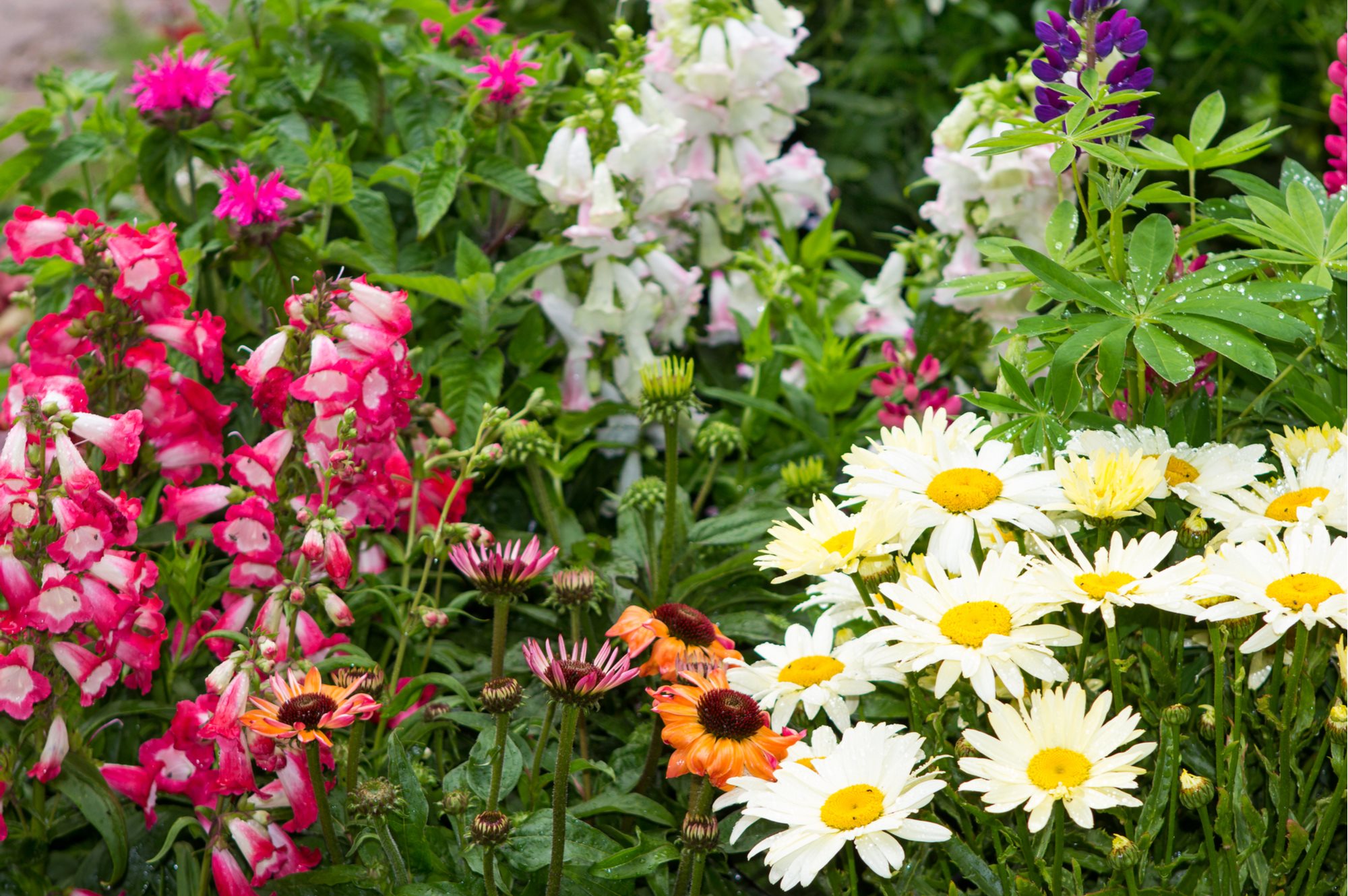 Luna Landscaping Inc