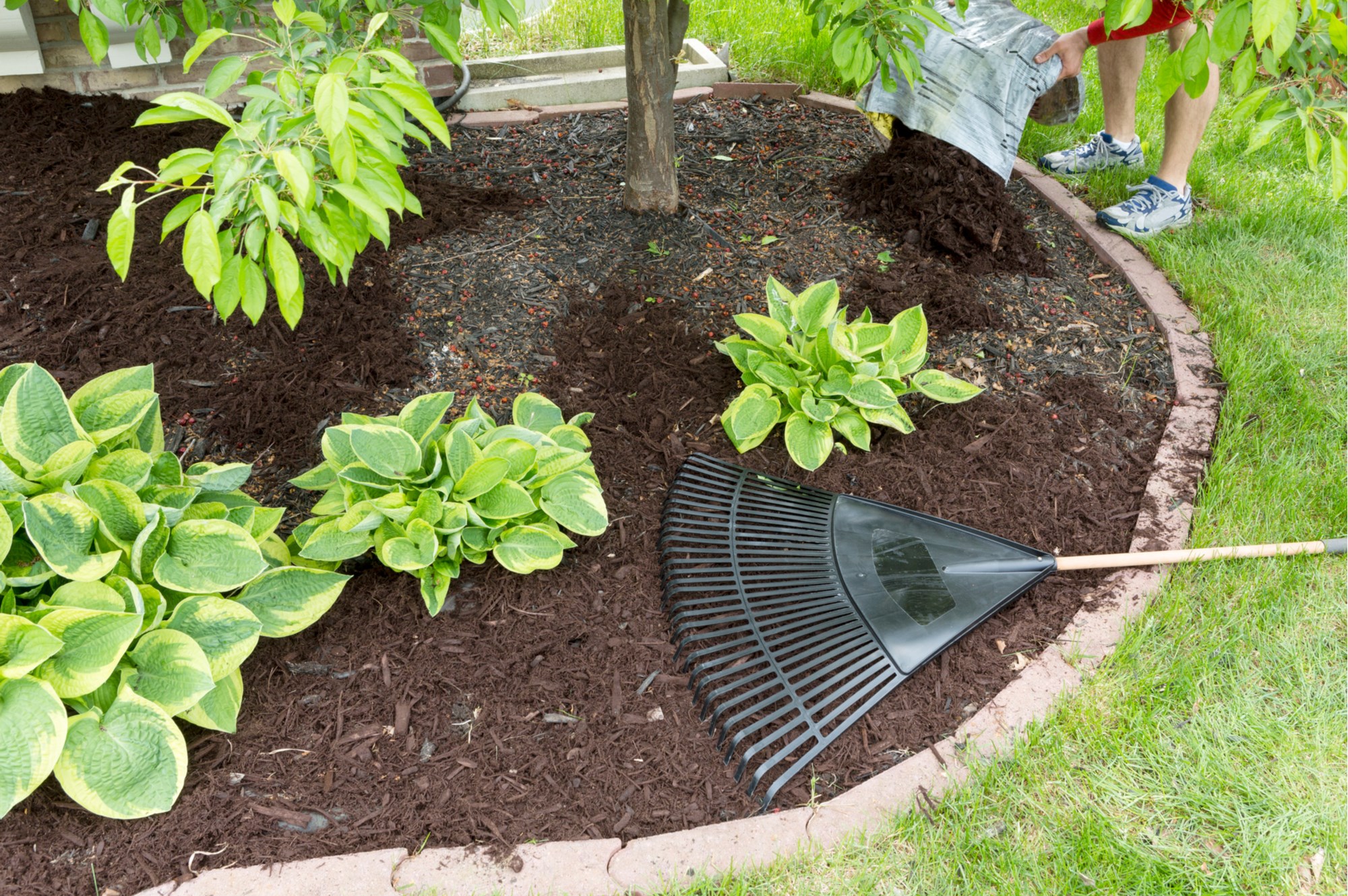 Luna Landscaping Inc