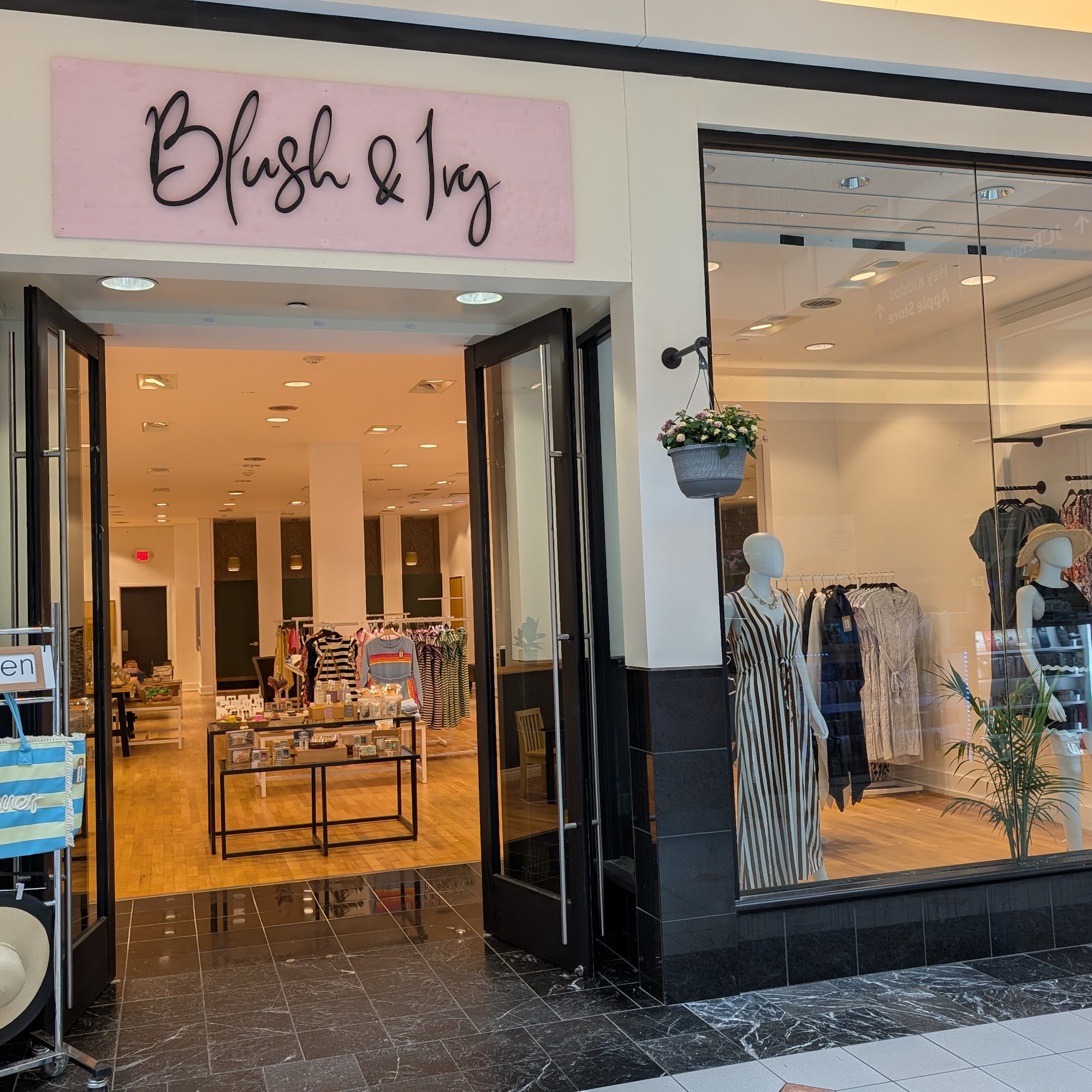 Blush & Ivy Marlborough