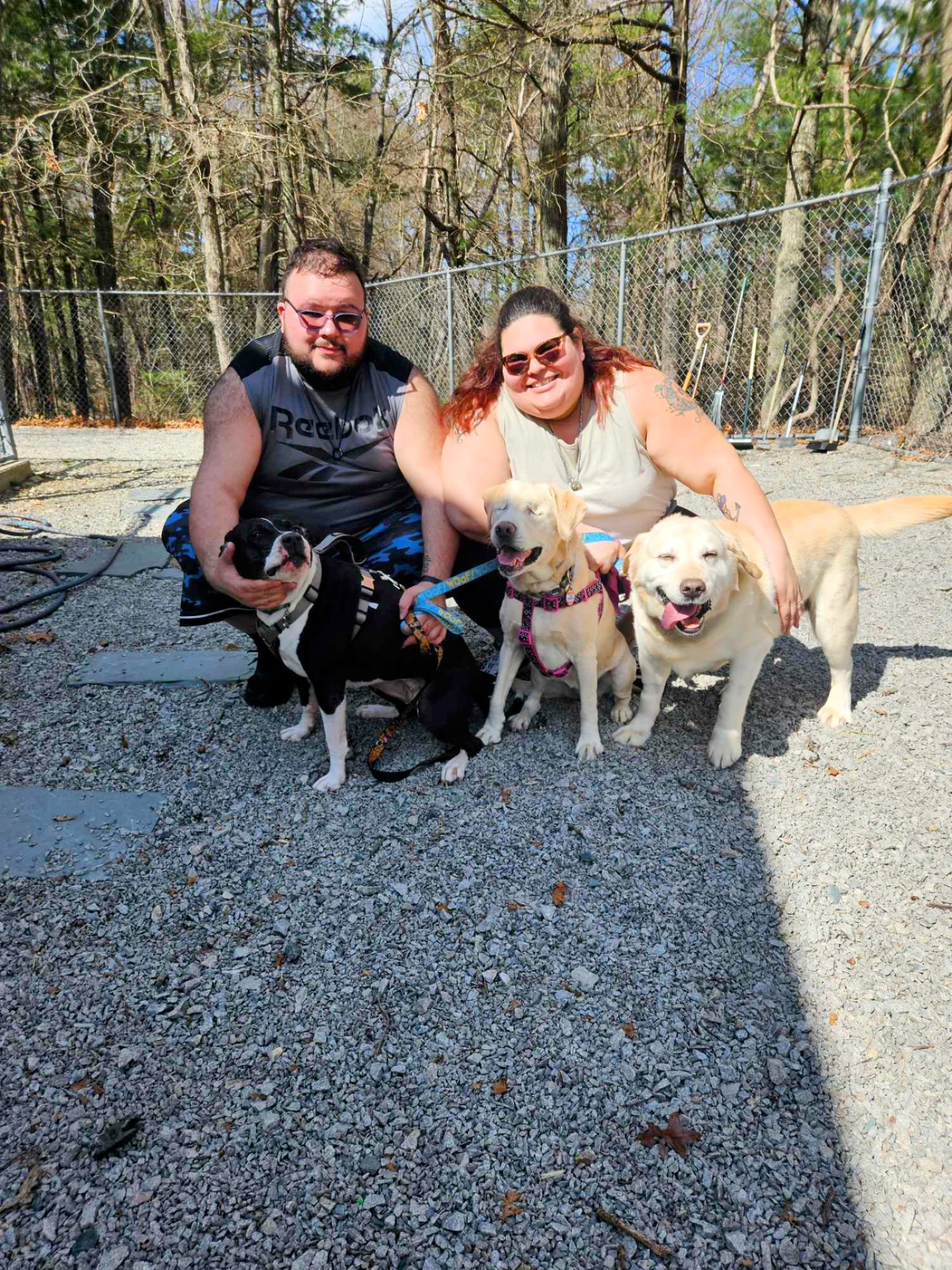 Marshfield Animal Shelter Marshfield