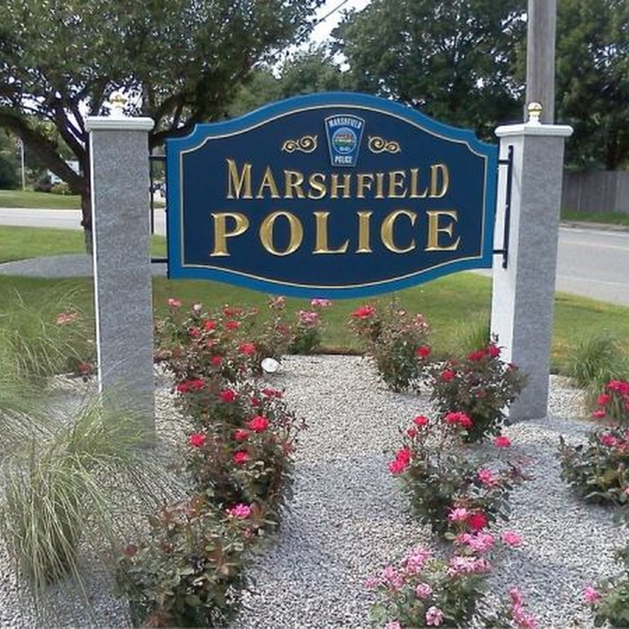 Wilkins Signs Marshfield