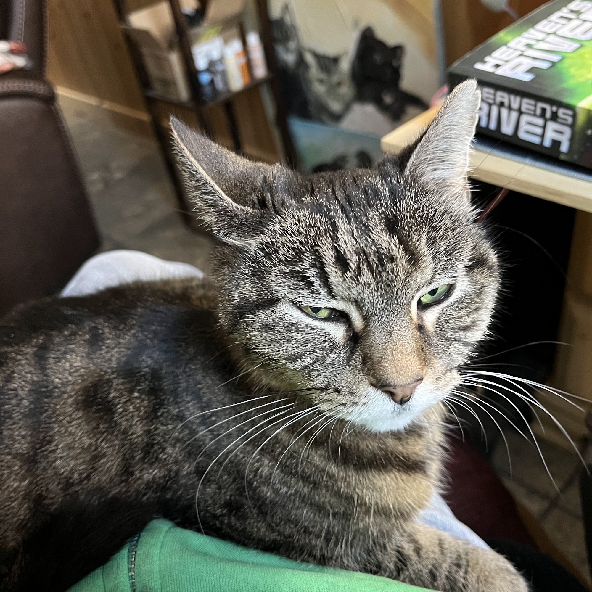 Leach Animal Hospital Mashpee