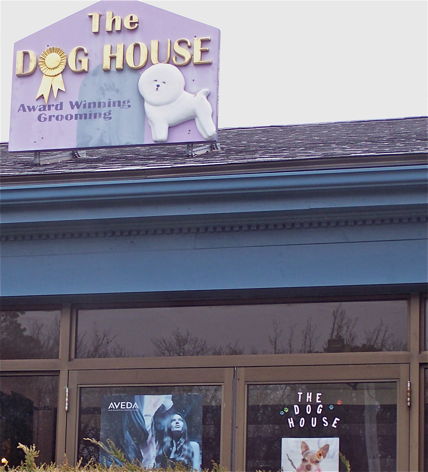 Dog House Mashpee