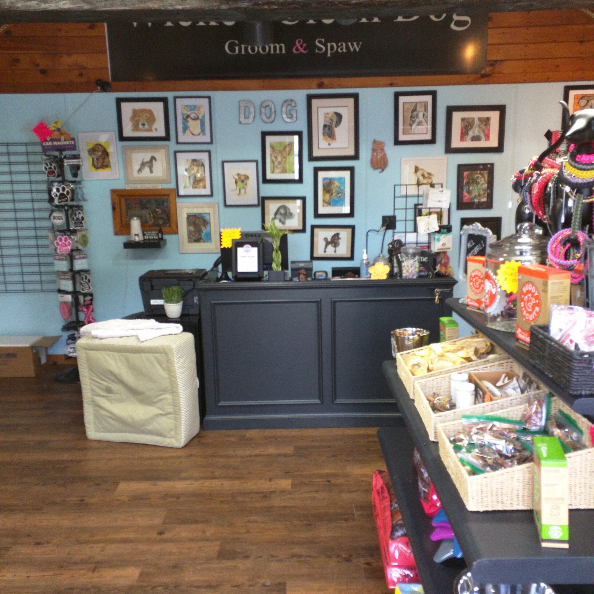 Wicked Clean Dog Mattapoisett