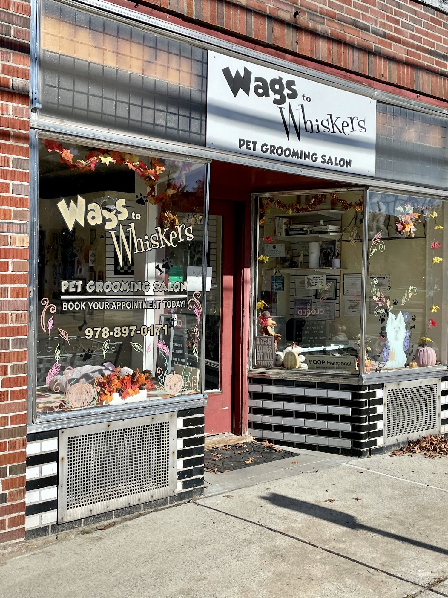 Wags To Whiskers Maynard