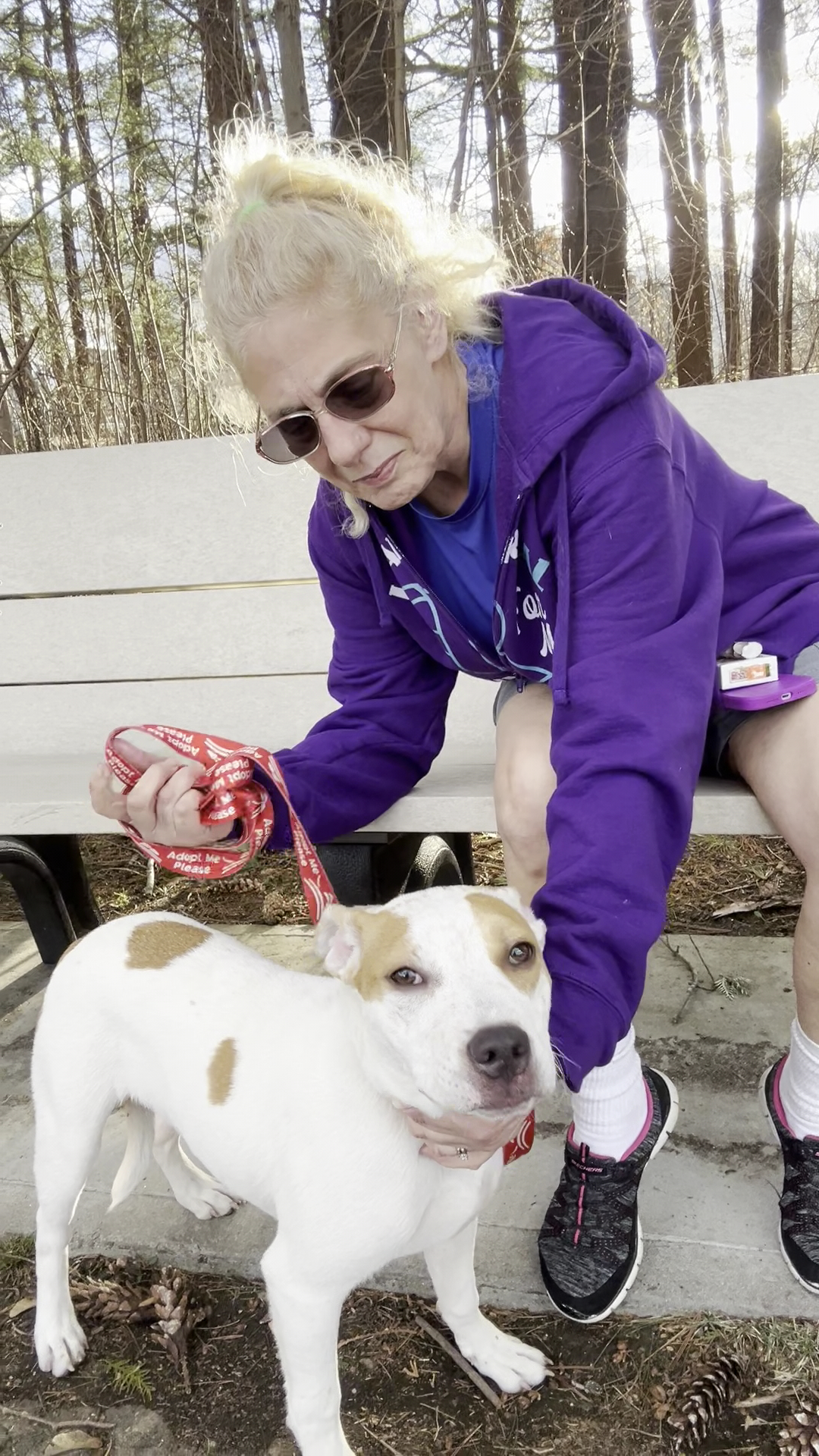 Forever Home Rescue New England Medfield