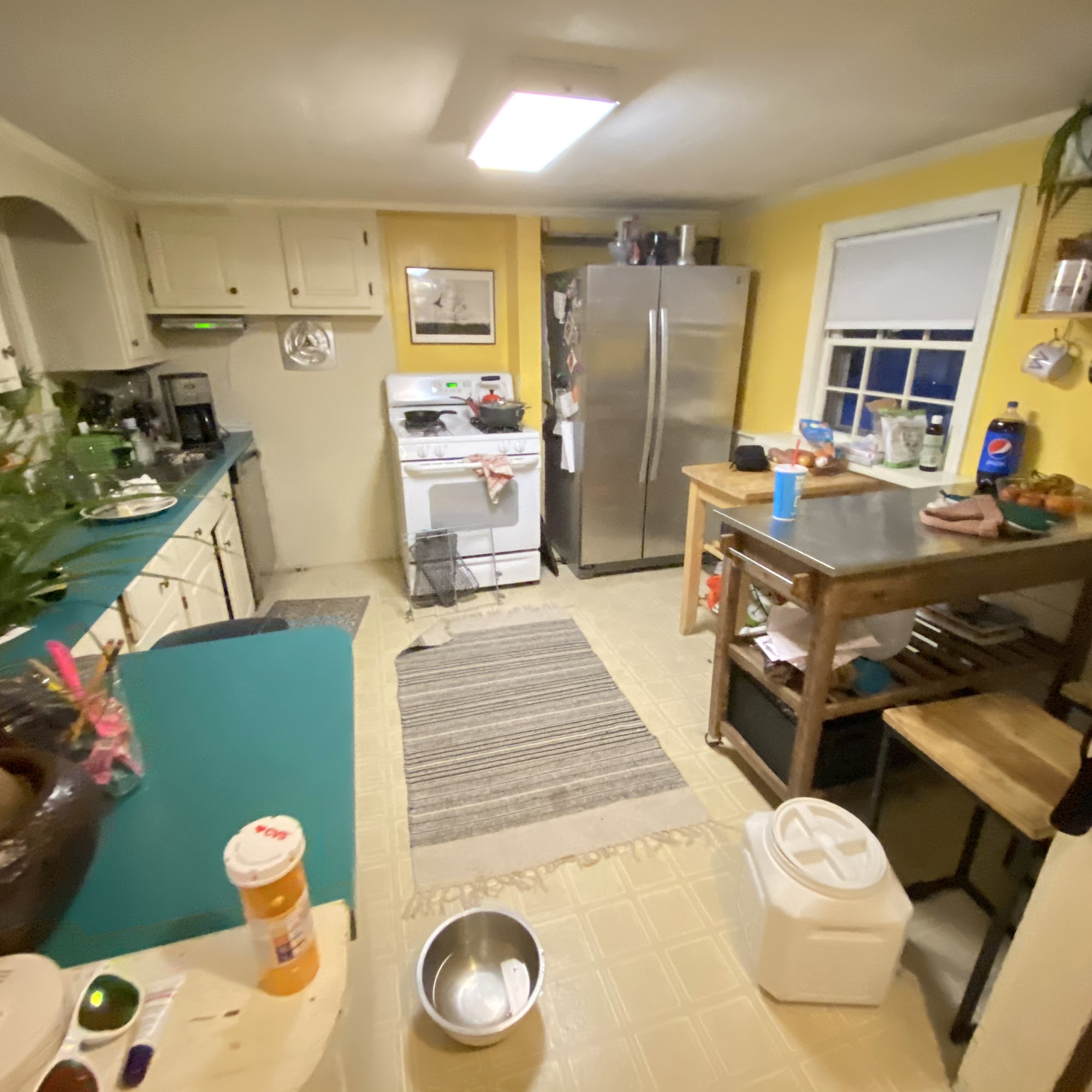 Jane of Bark Medfield