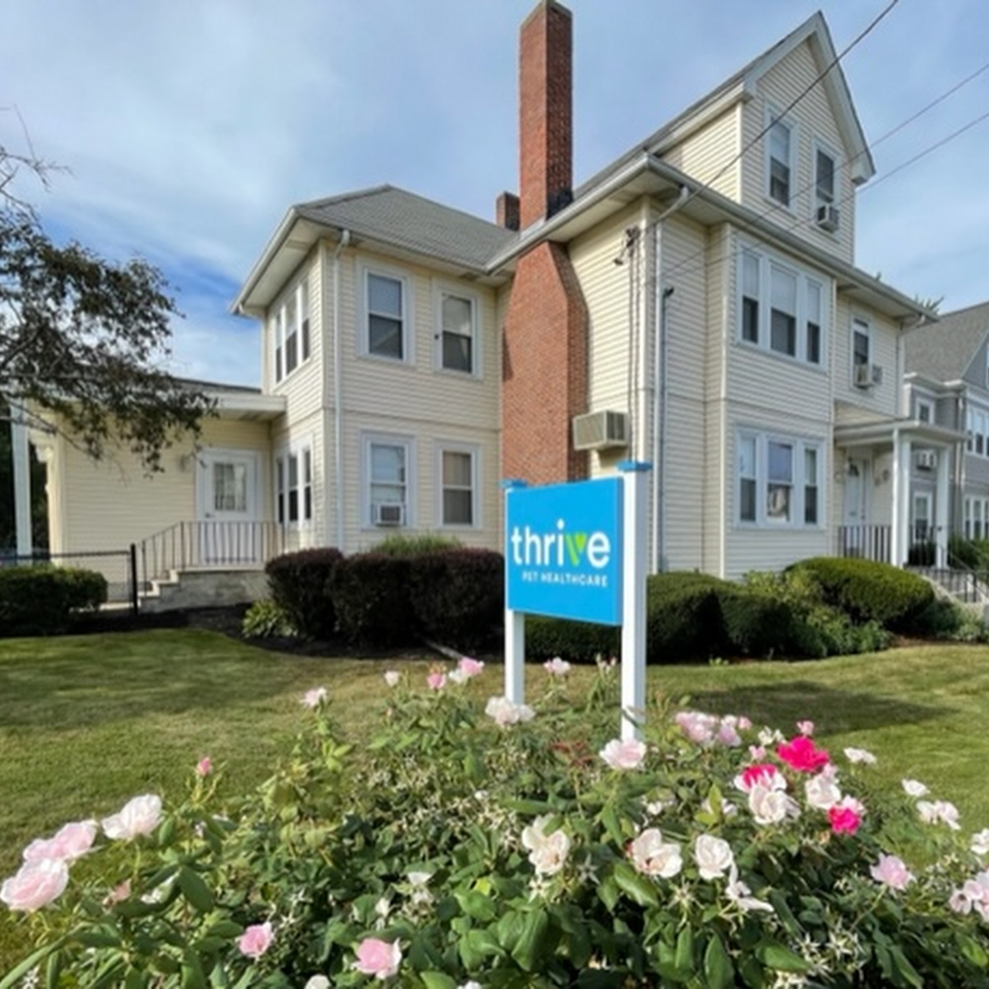 Thrive Pet Healthcare Medford Medford