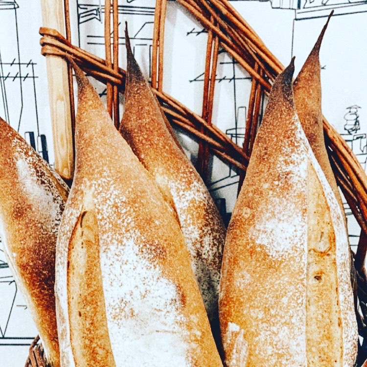 Colette Bakery Medford