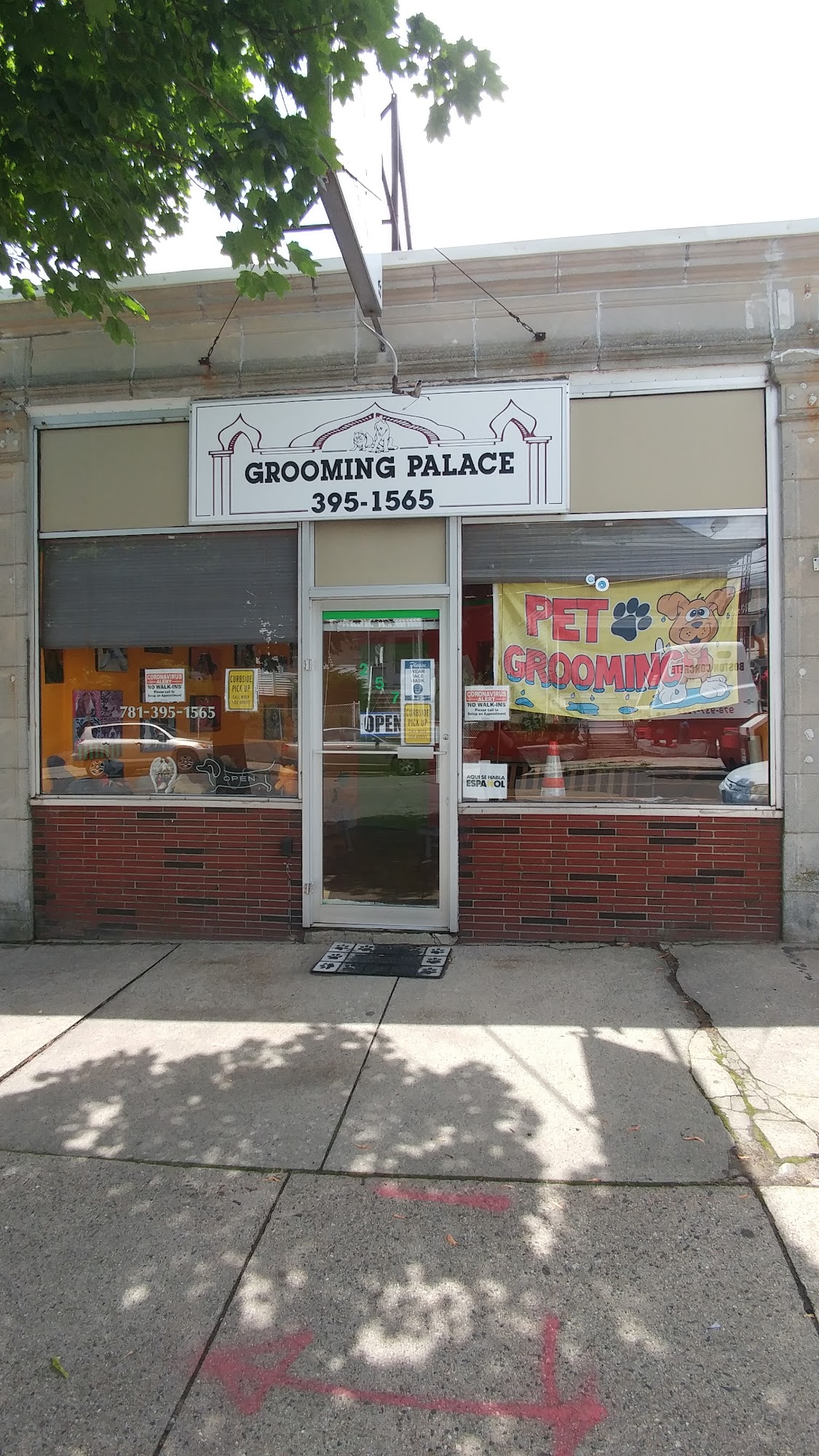 Grooming Palace Medford