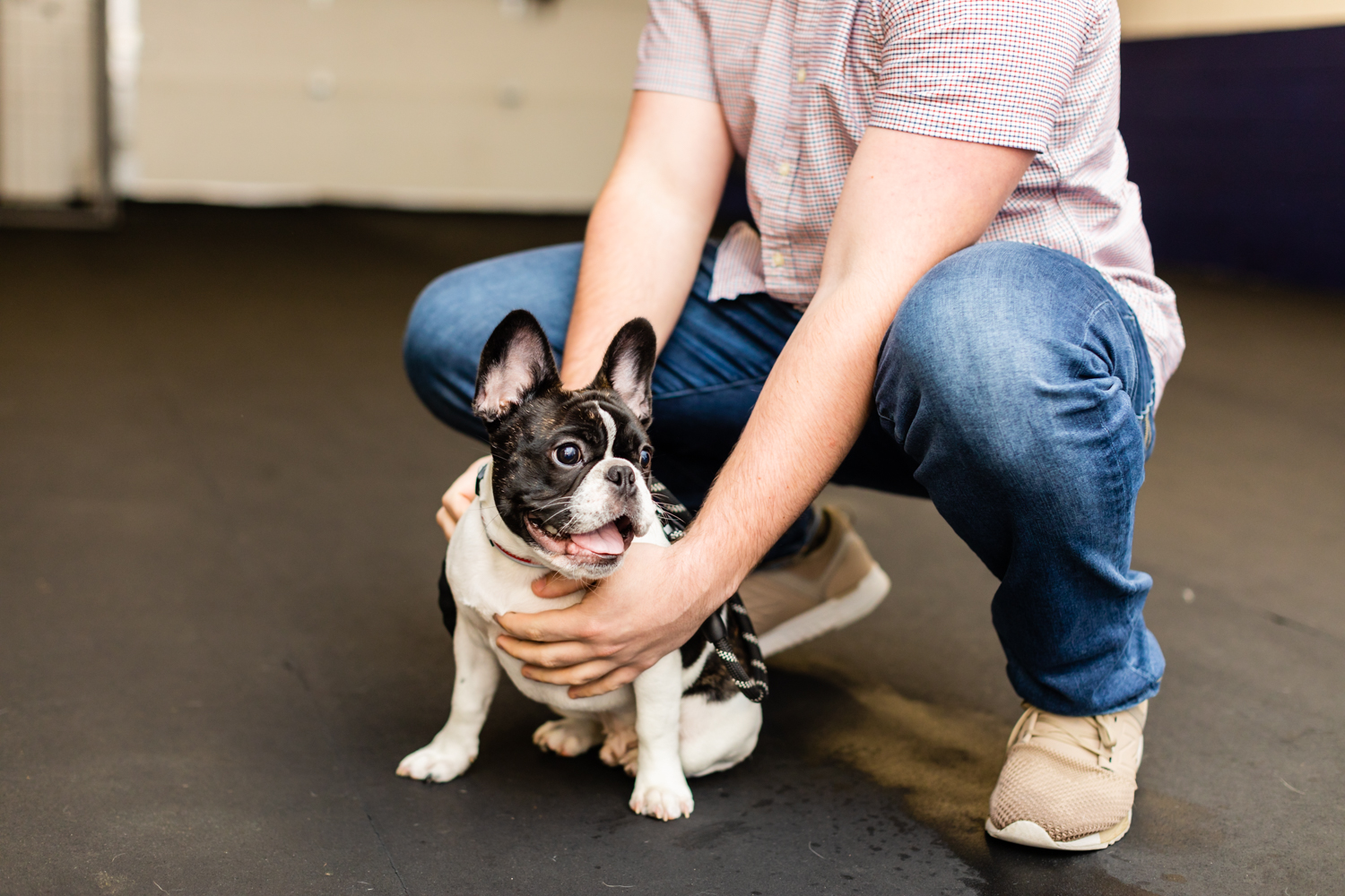 Alpha Dog K9 Training Medway