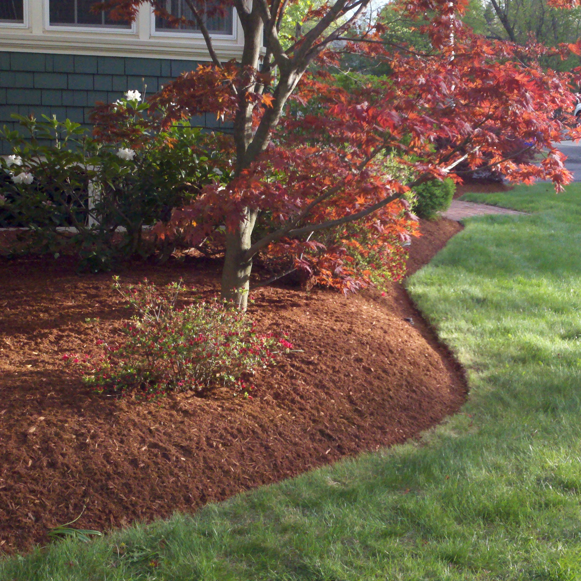 Natural Landscape Concepts