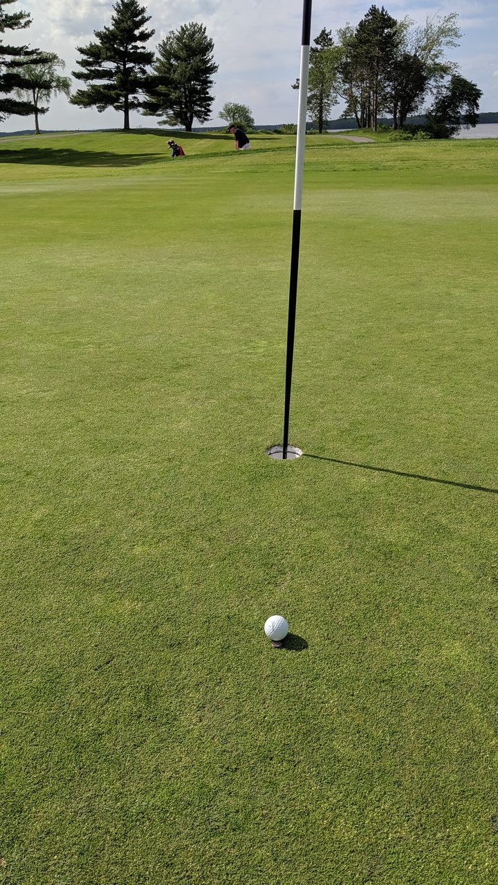 New England Canine Middleton