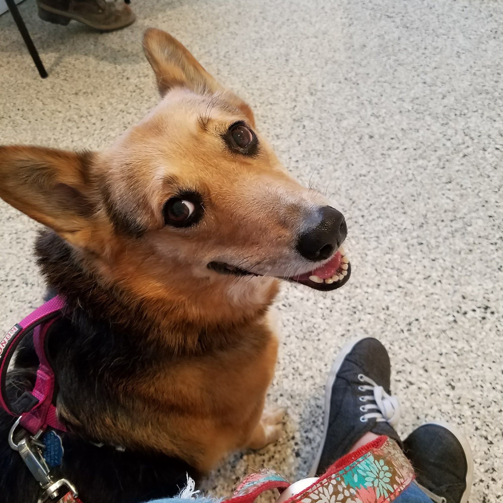 Riverlin Animal Hospital, LLC Millbury