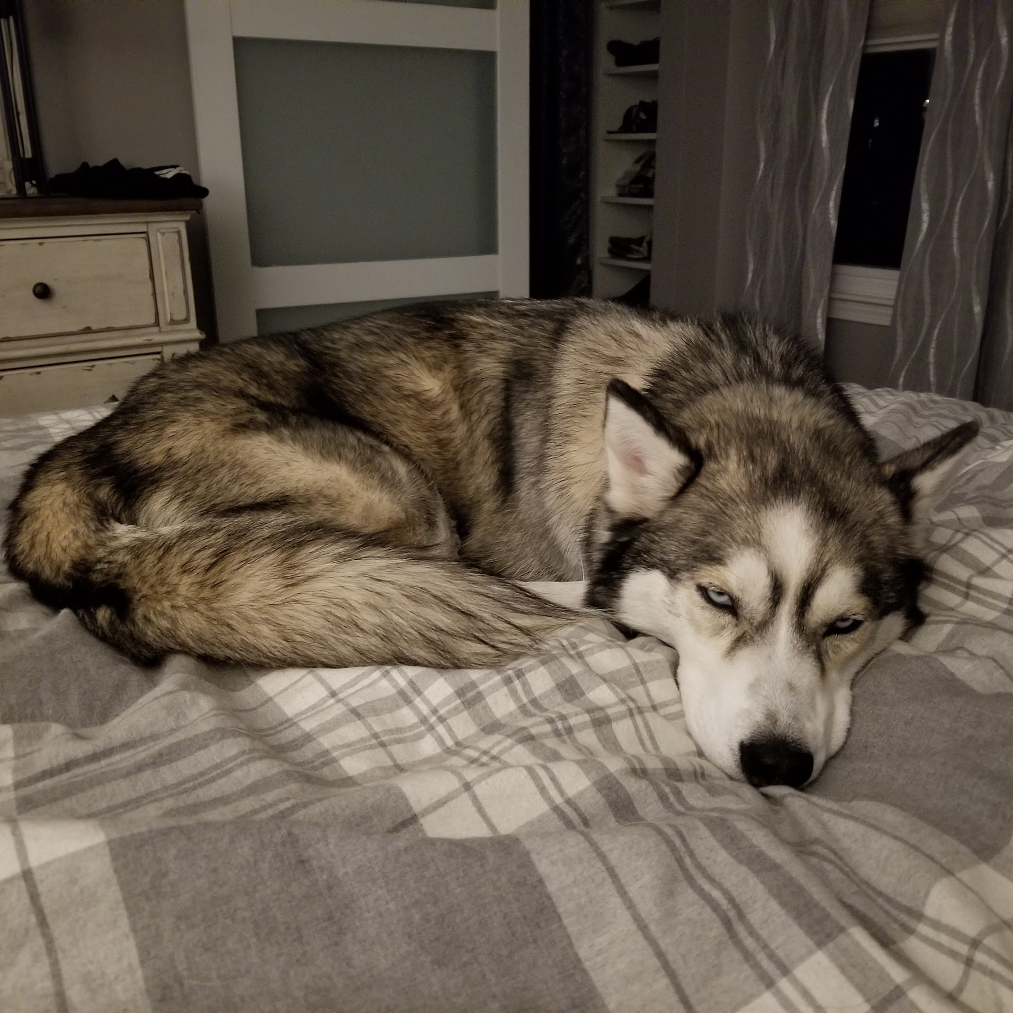 Milbury Animal Clinic Millbury