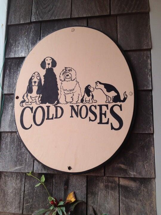 Cold Noses Nantucket