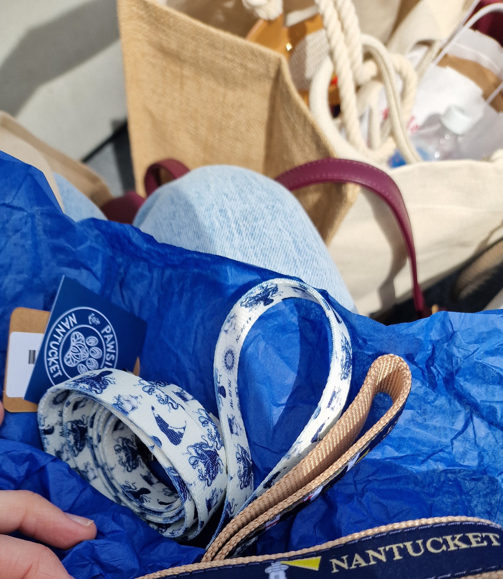 Pawsitivity Nantucket