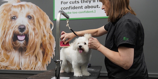 Pet Supplies Plus Natick Natick