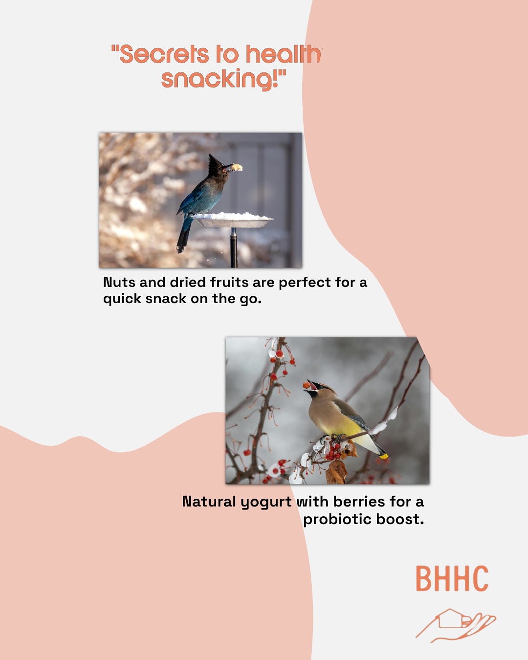 Best Home Health Care