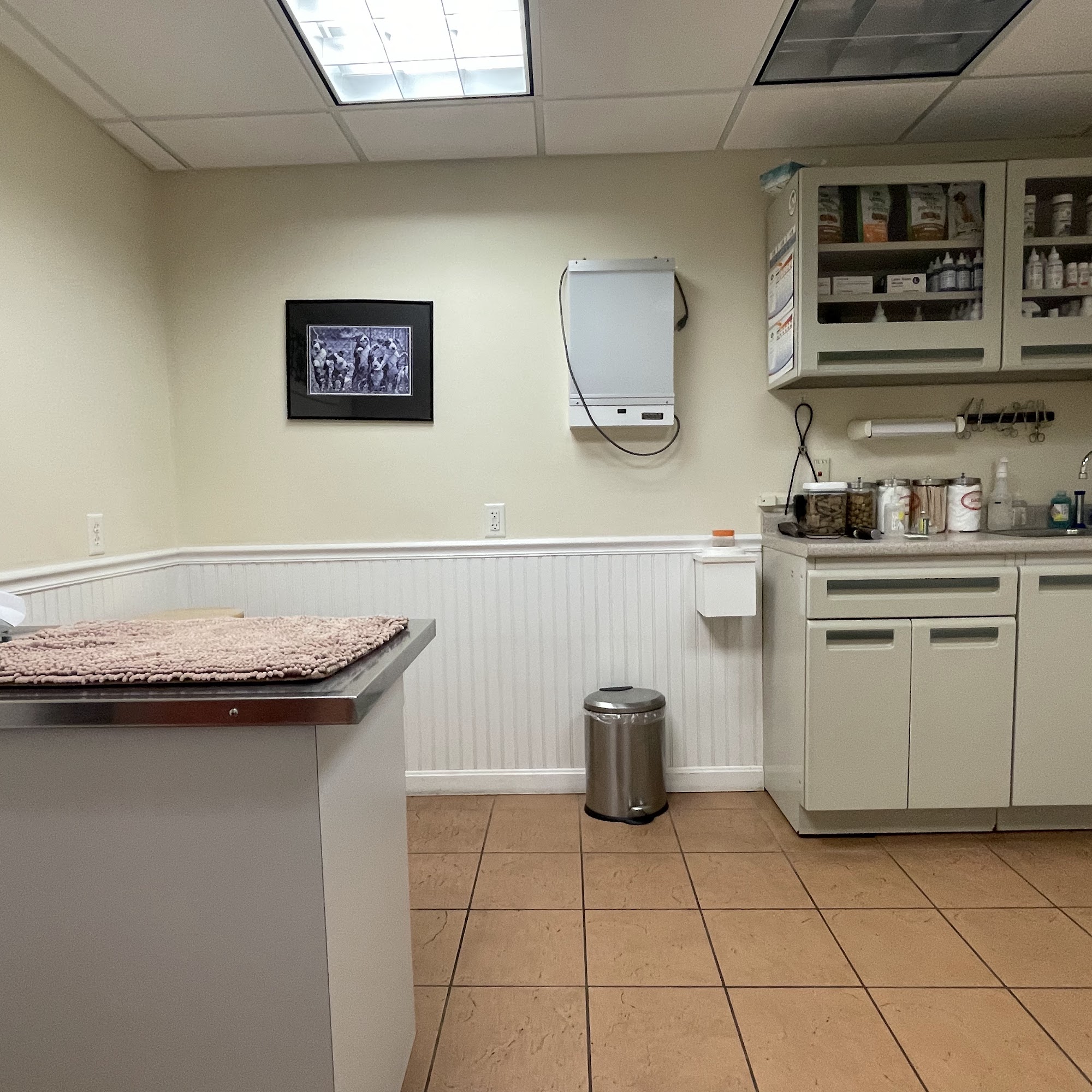 Carr Island Animal Hospital Newburyport