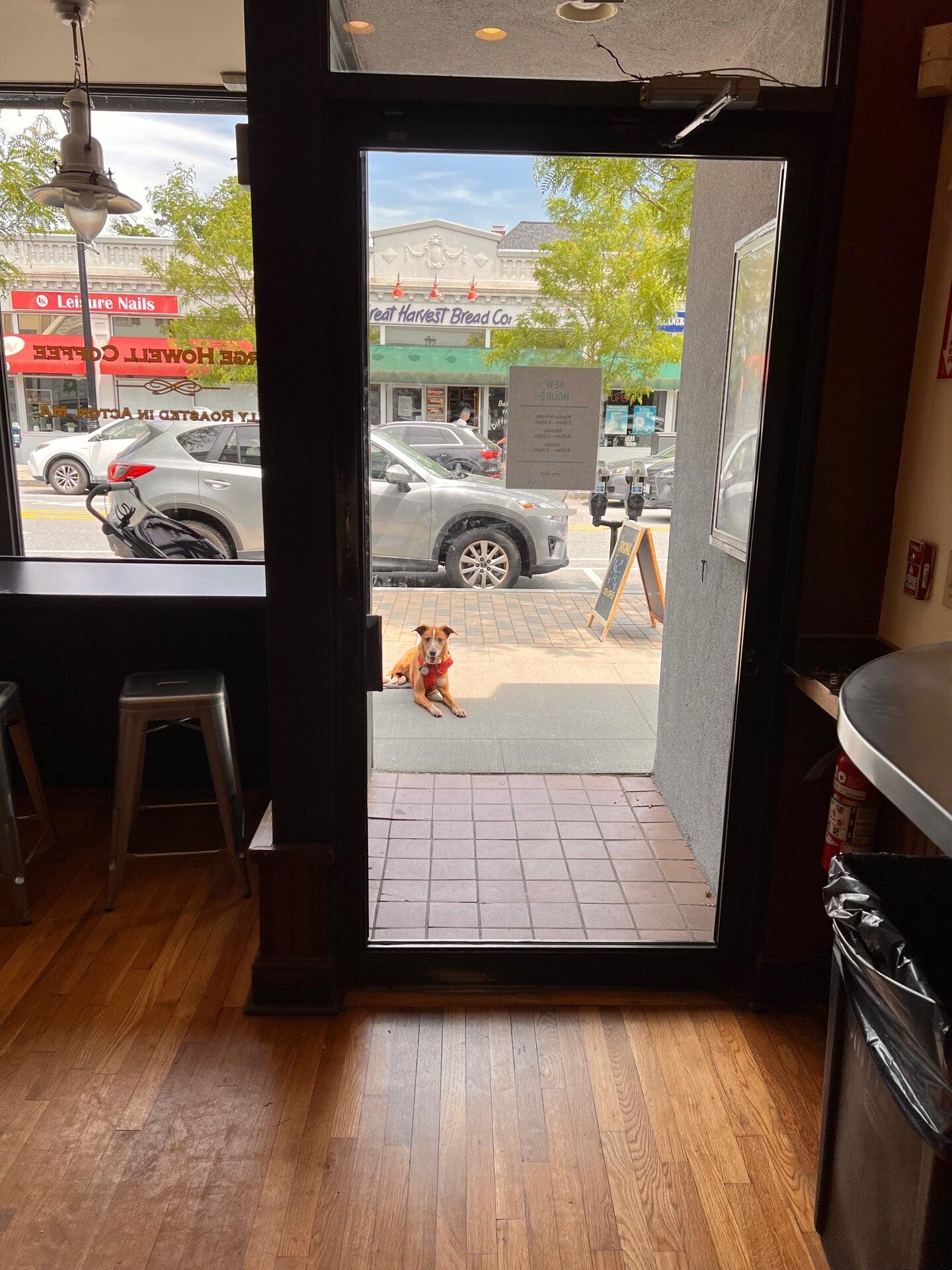 Photo credit: nextdoor