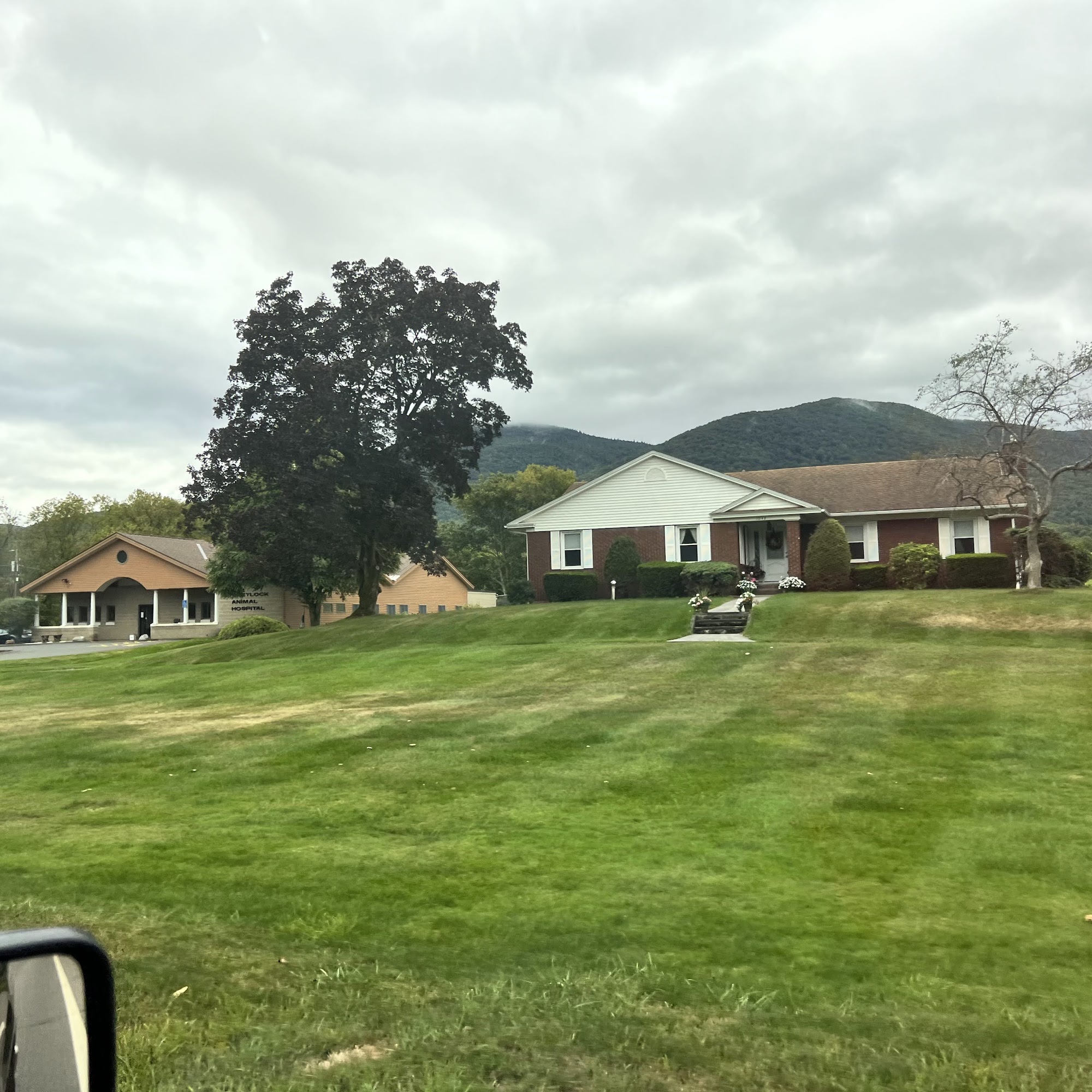 Greylock Animal Hospital Inc: Wolfgang Katie DVM North Adams