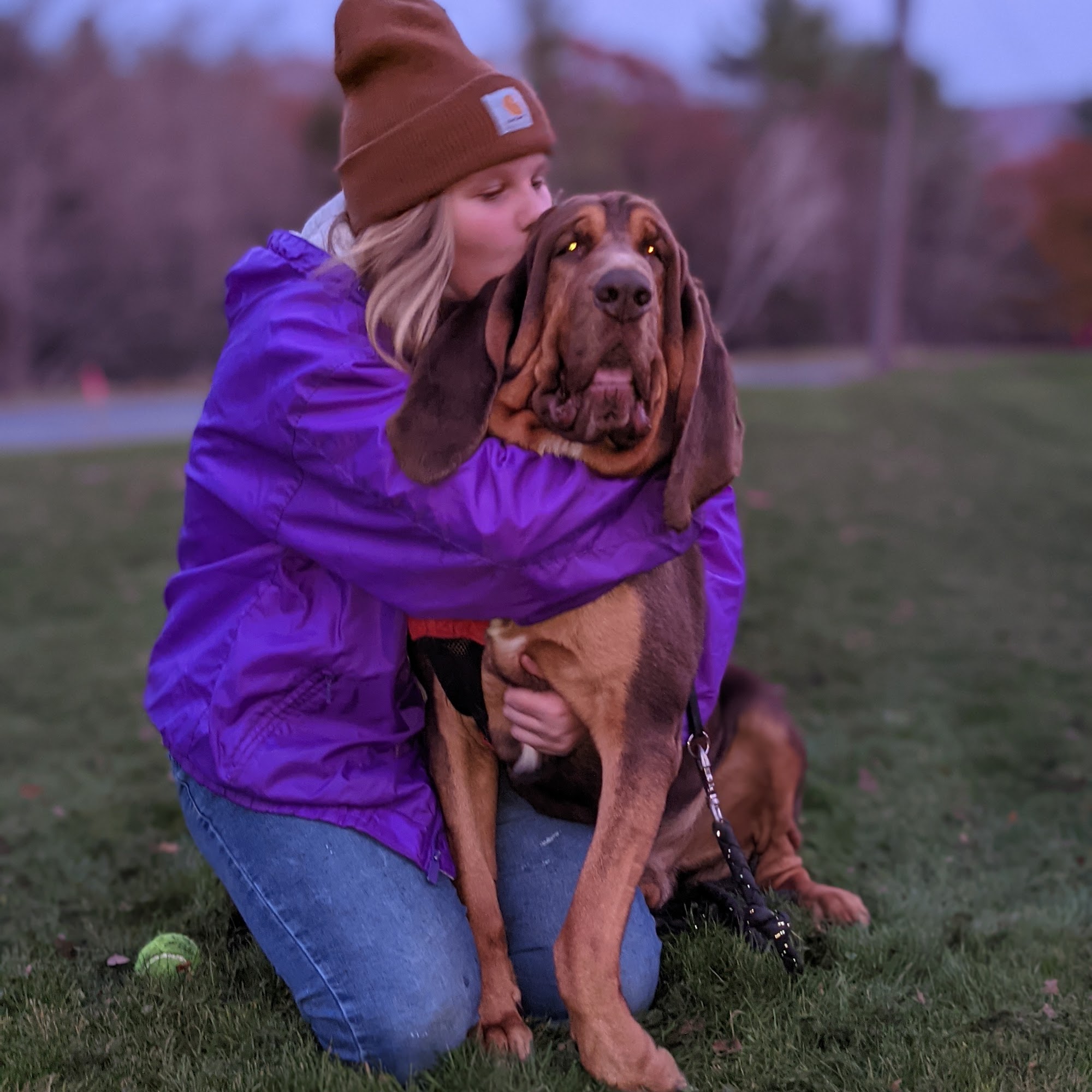 Just Fur Pets Grooming North Adams