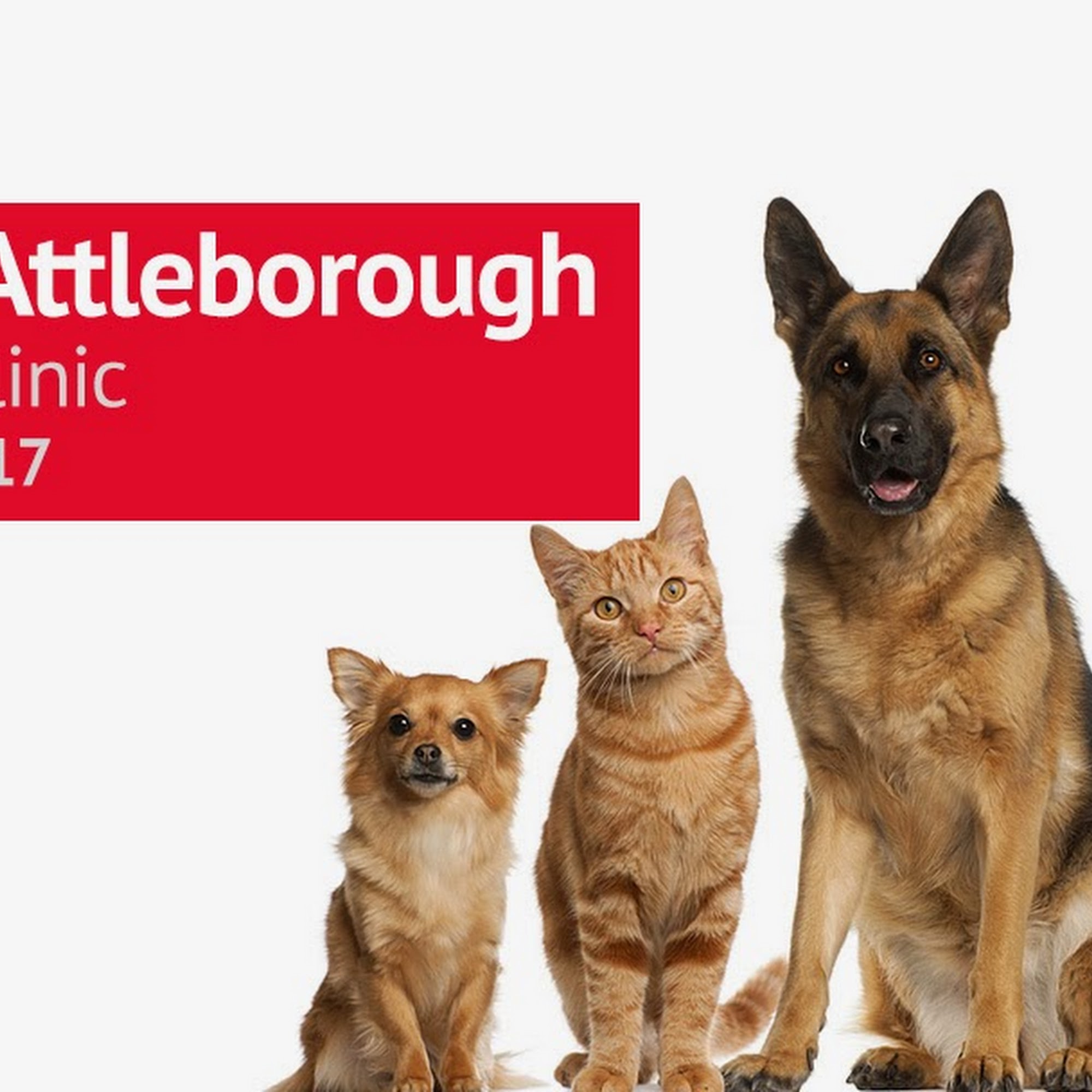 North Attleborough Animal Clinic LLC North Attleborough