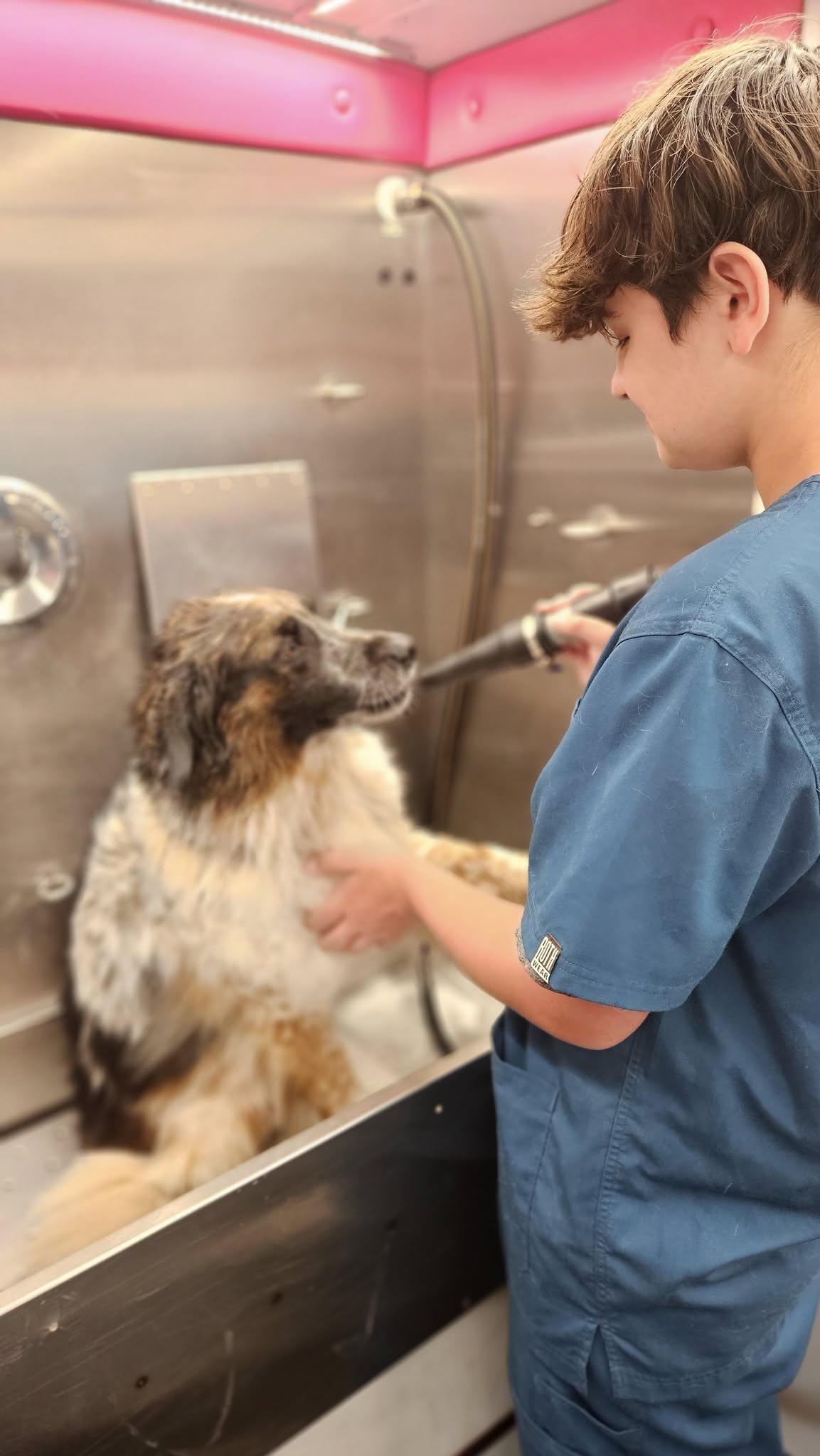 Aj's Furry Friends Mobile Pet Grooming North Attleborough