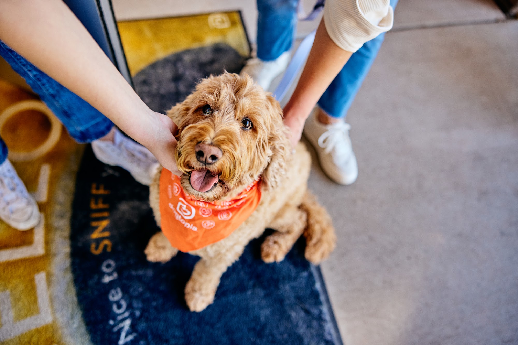 Dogtopia of North Attleboro North Attleborough