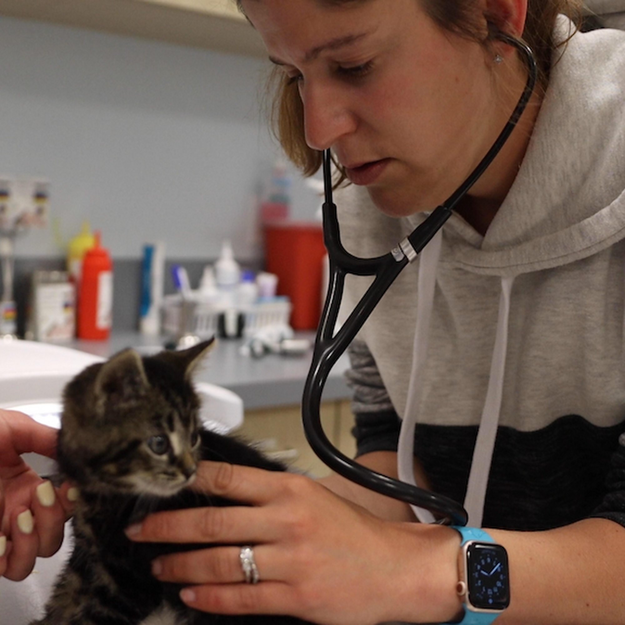 Veterinary Urgent Care Center North Easton