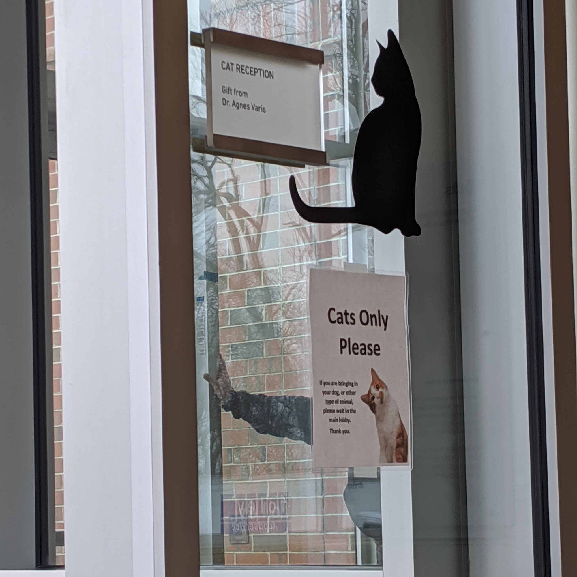 Tufts Animal Behavior Clinic North Grafton