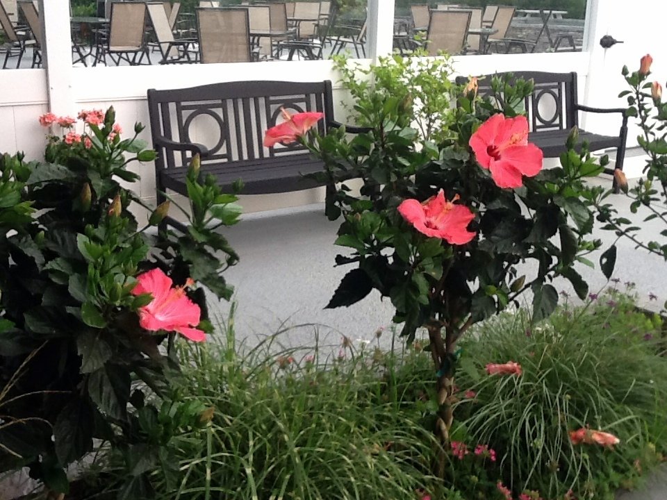 Top Mast Cafe North Truro