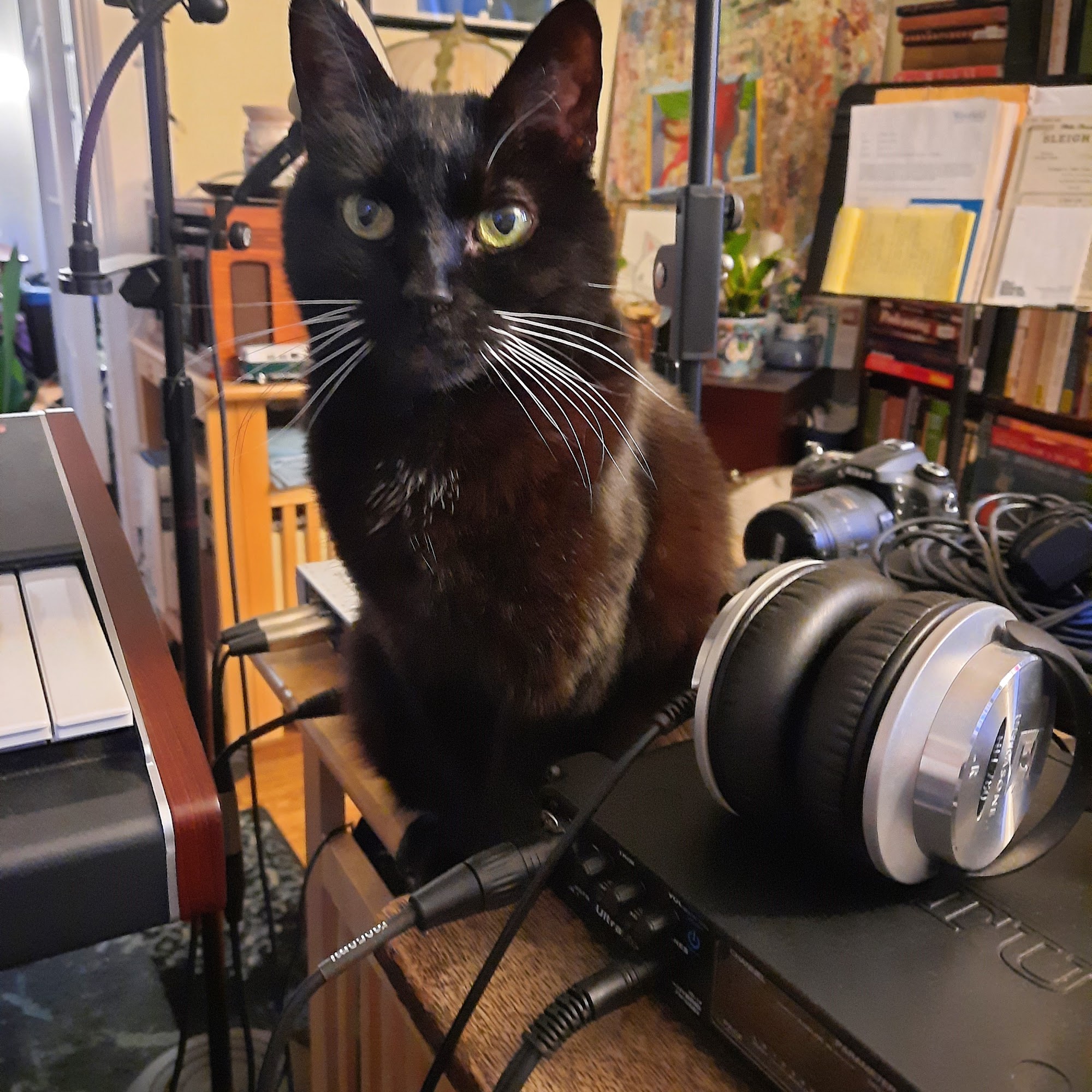 Florence Animal Clinic Northampton