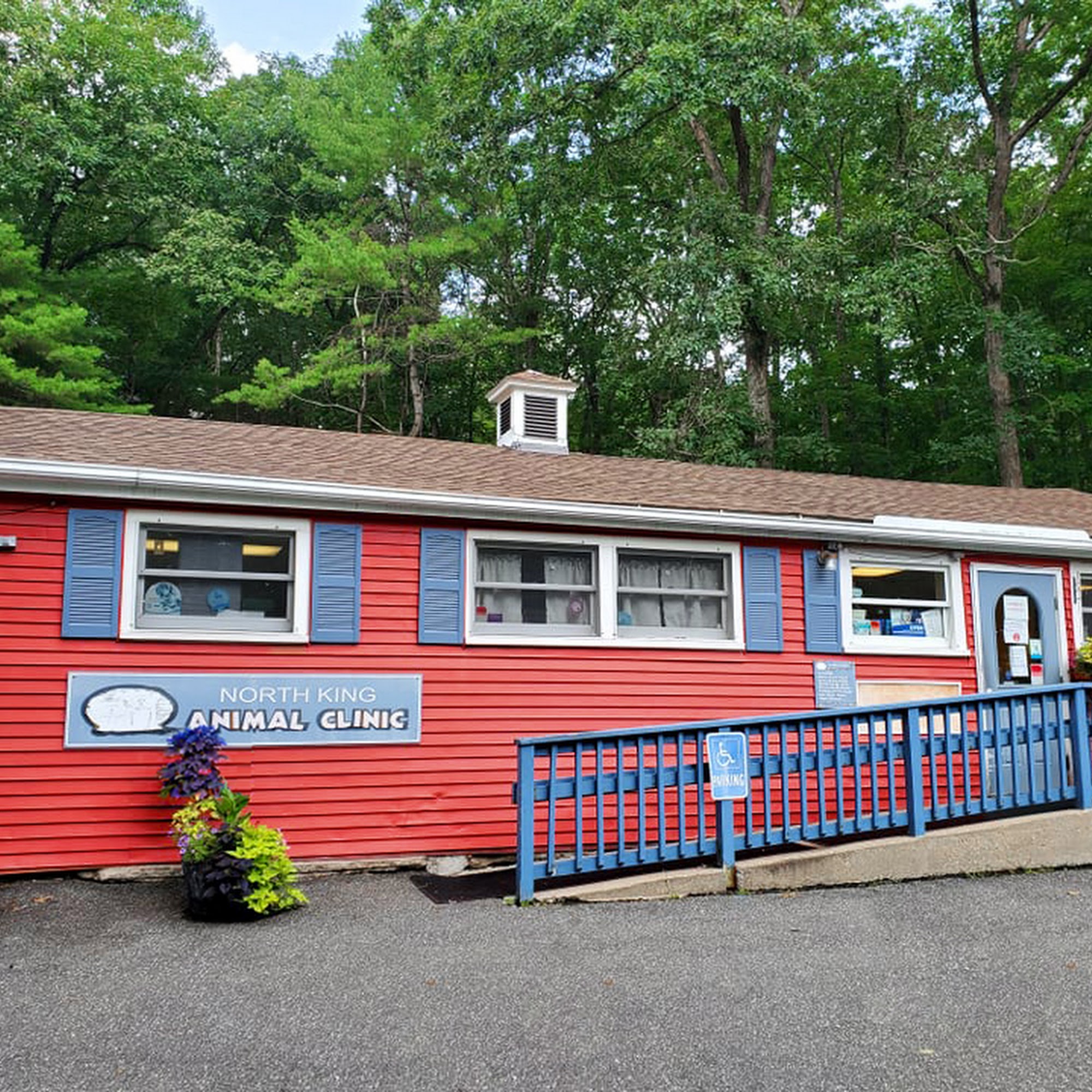 North King Animal Clinic Northampton