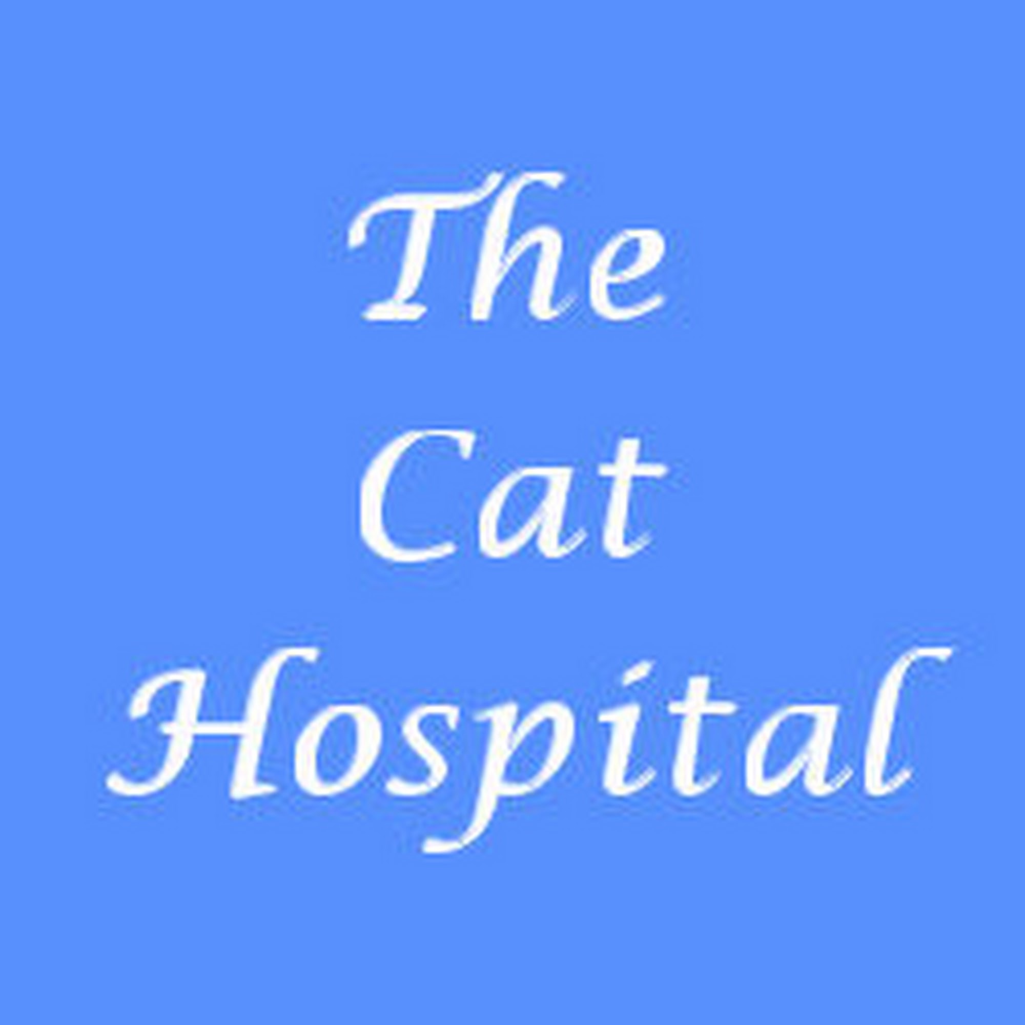 The Cat Hospital Northampton