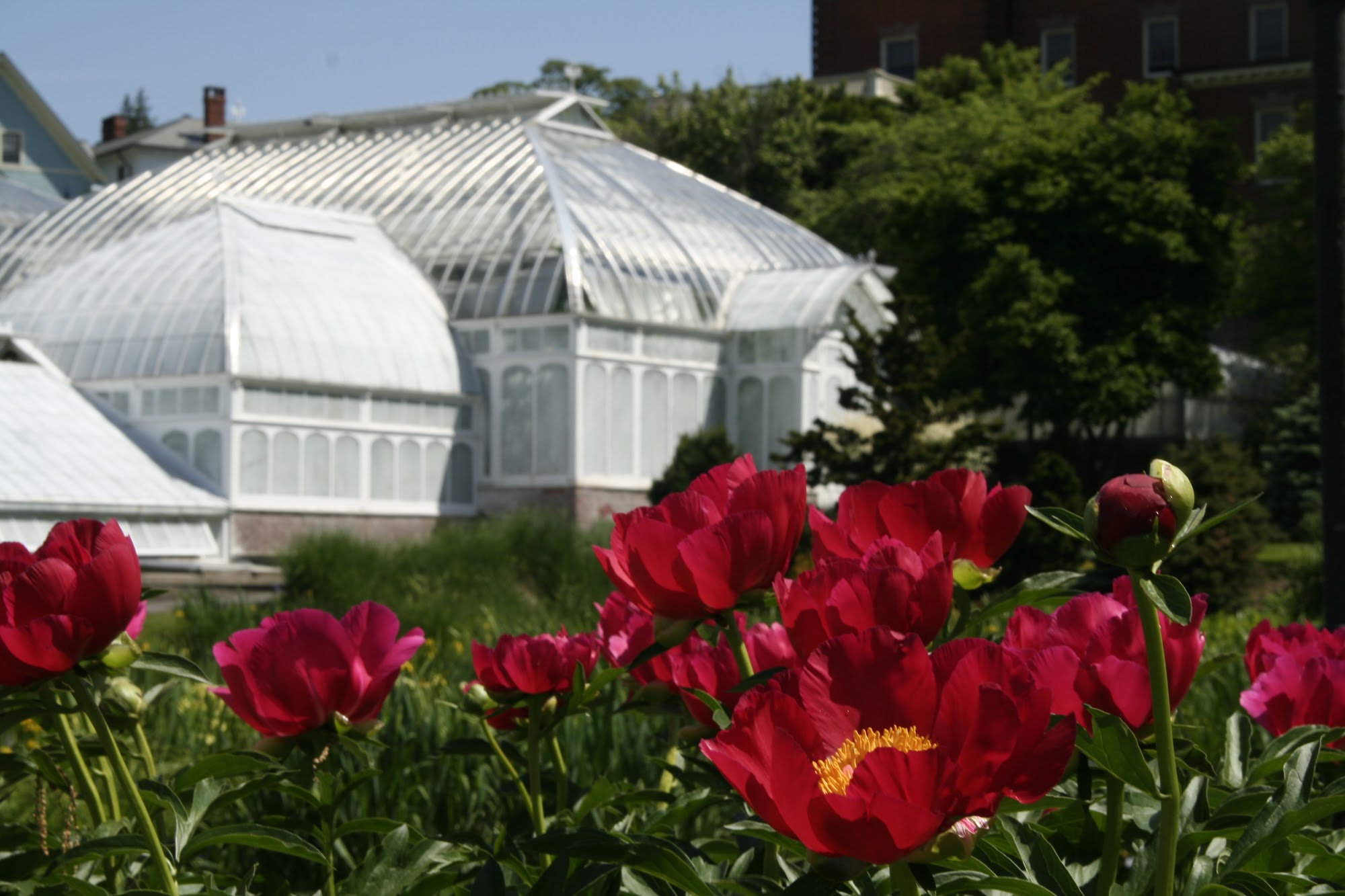 The Botanic Garden of Smith College Northampton