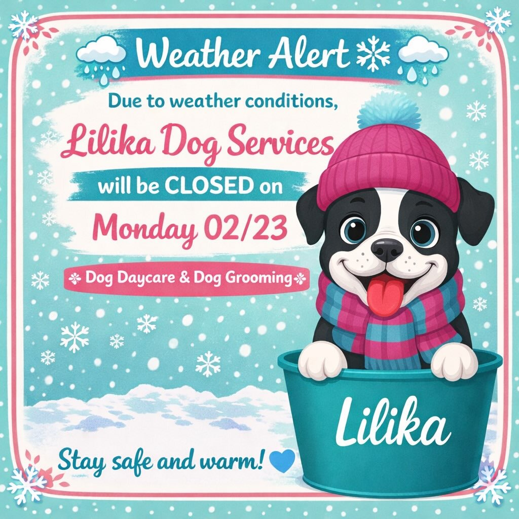 Lilika Dog Grooming Northborough