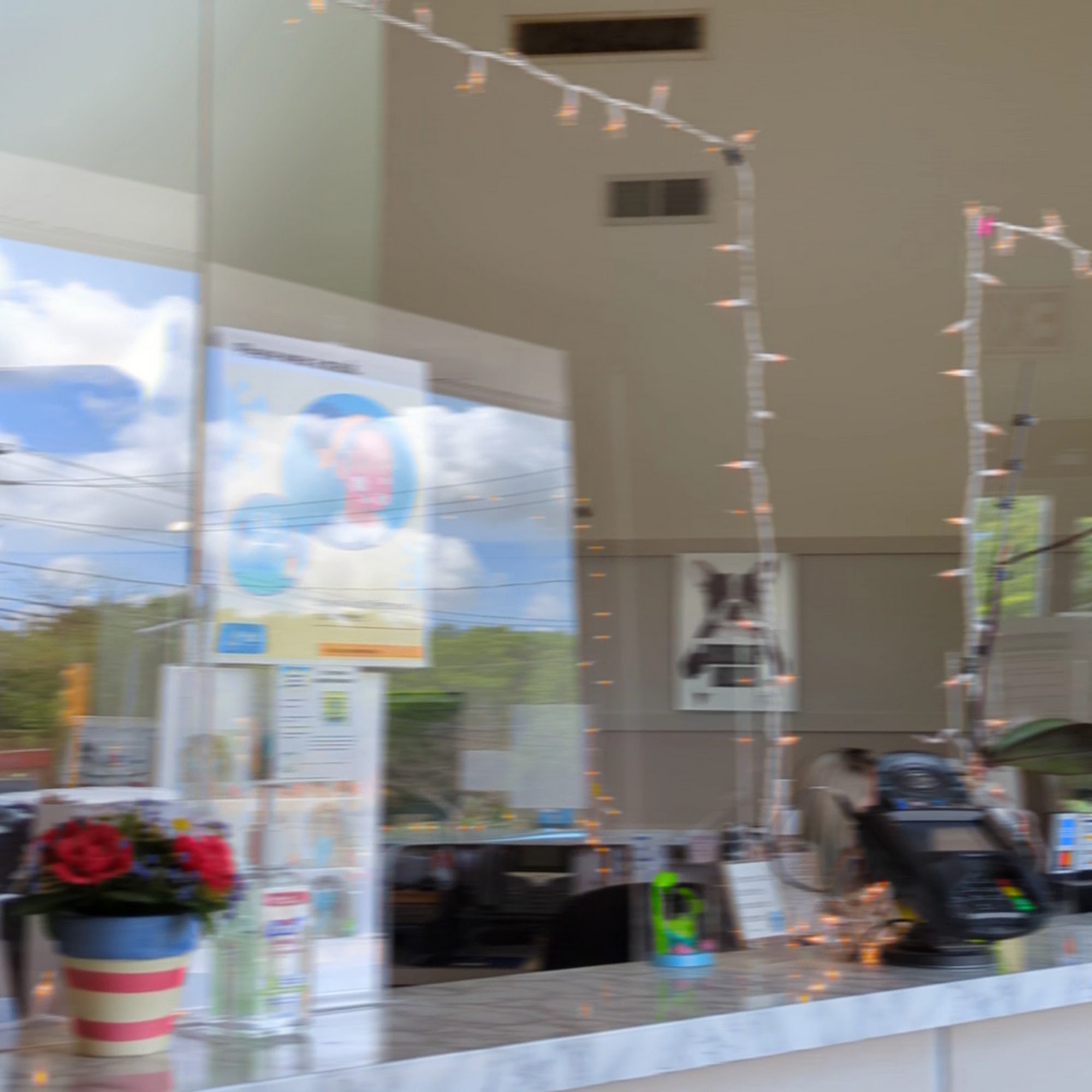 Norwood Animal Hospital, A Thrive Pet Healthcare Partner Norwood