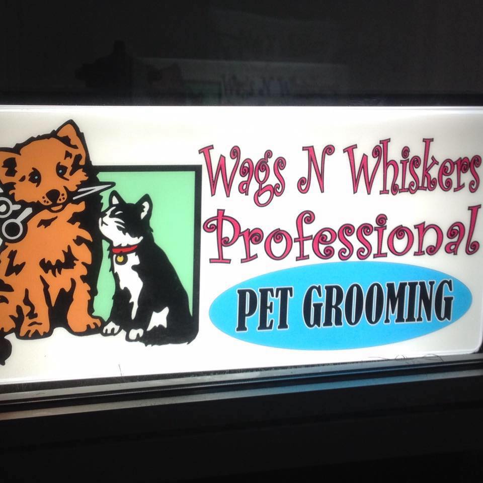 Wags N' Whiskers Pet Grooming Norwood