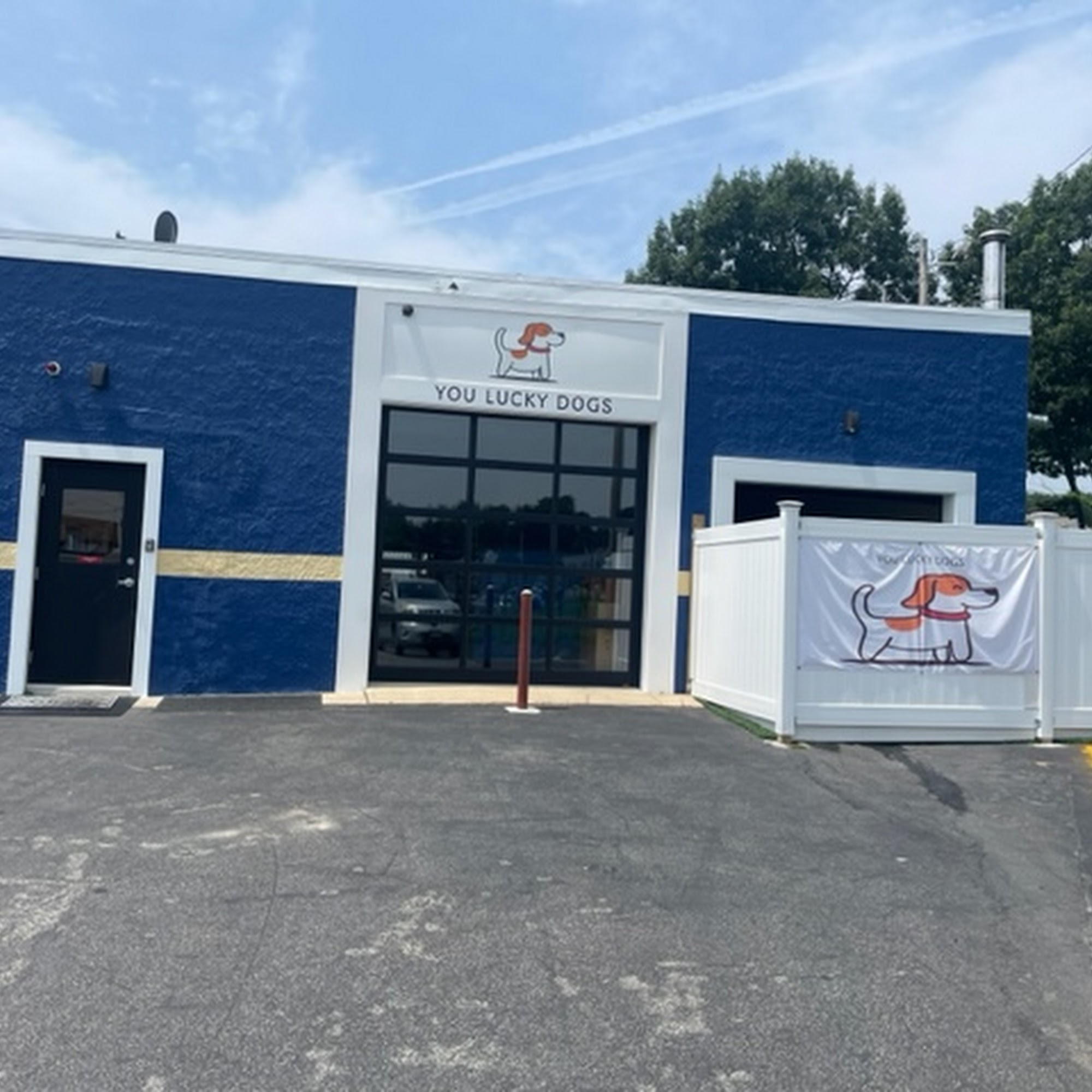 You lucky Dogs Norwood Norwood