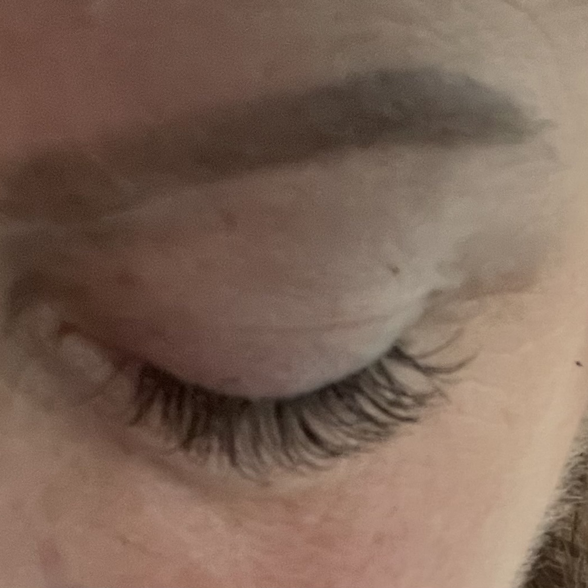 Sala Lash Spa 500 Boston Providence Hwy, Norwood Massachusetts 02062