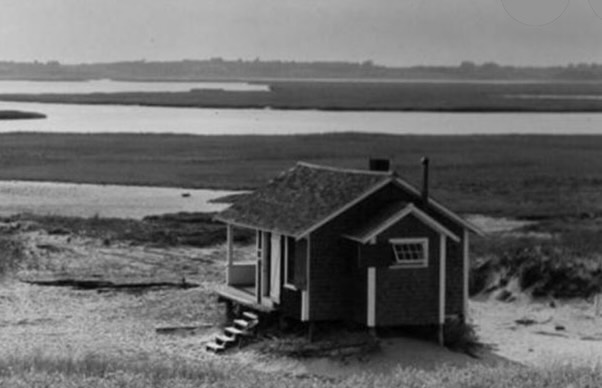 Hog Island Beer Co. Orleans